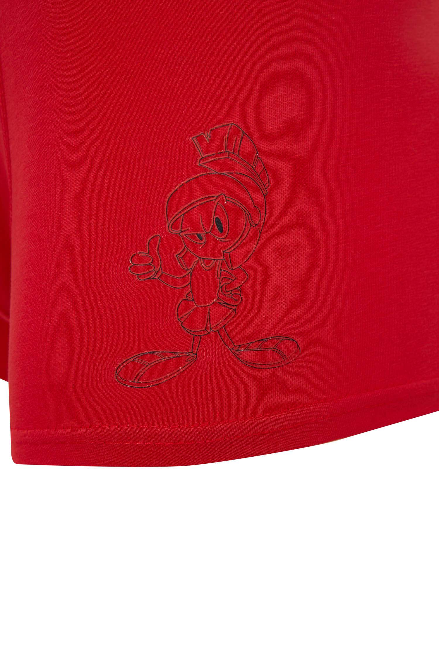 Space Jam Lisanslı Kumaş Desenli Standart Kalıp 2'li Boxer