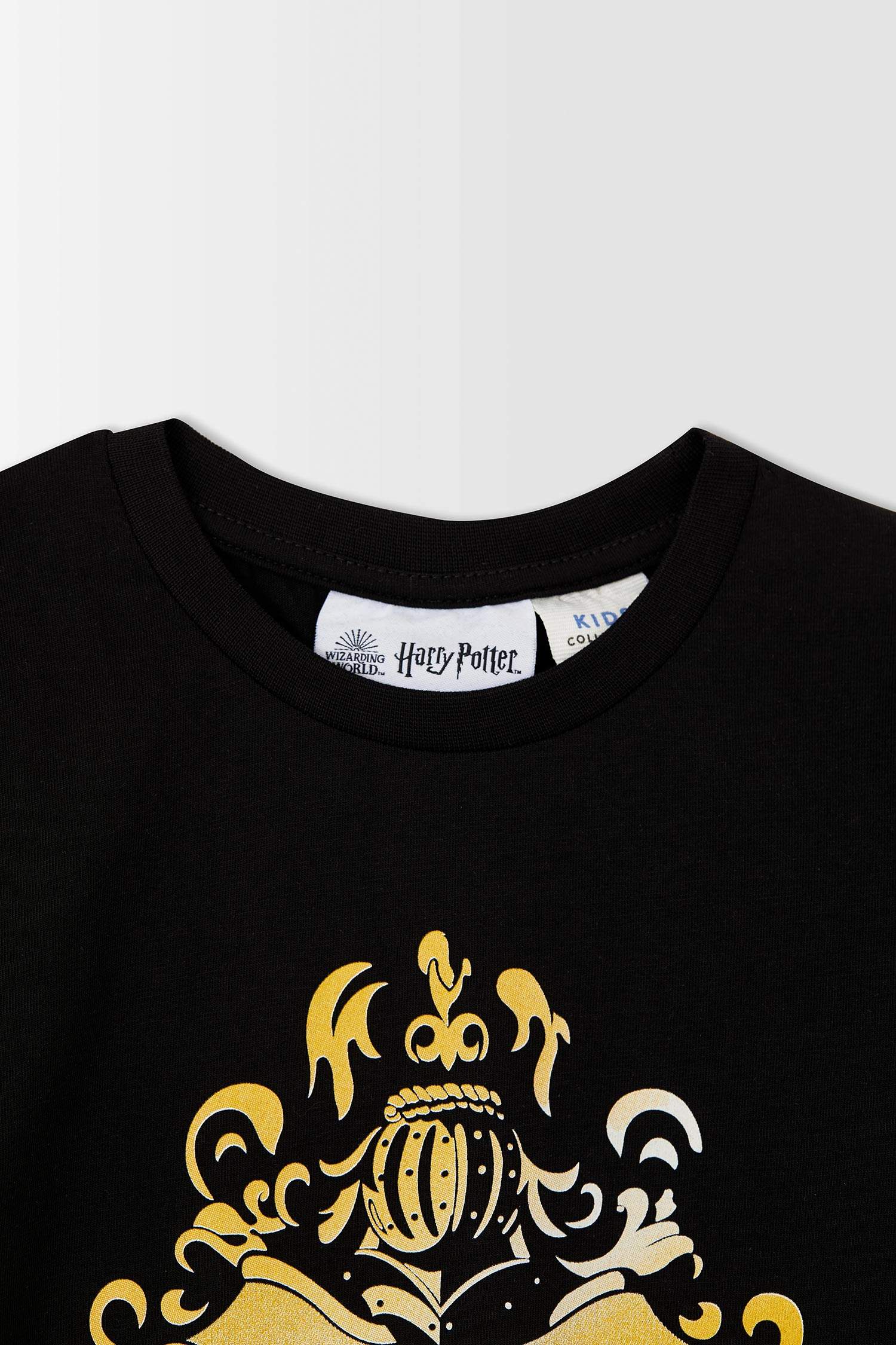 Erkek Çocuk Harry Potter Lisanslı Kısa Kollu Tişört