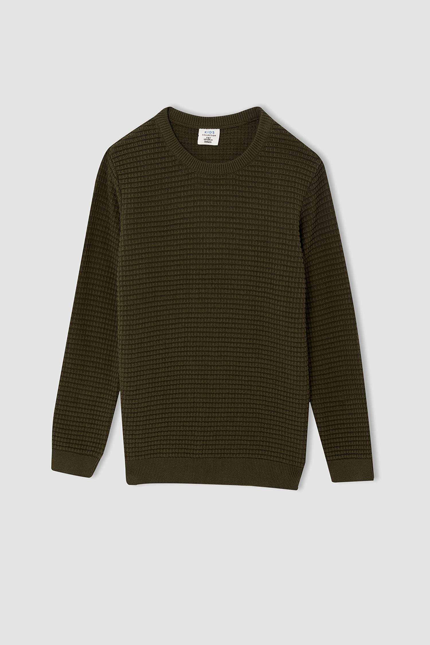 Erkek Çocuk Regular Fit Bisiklet Yaka Triko Kazak