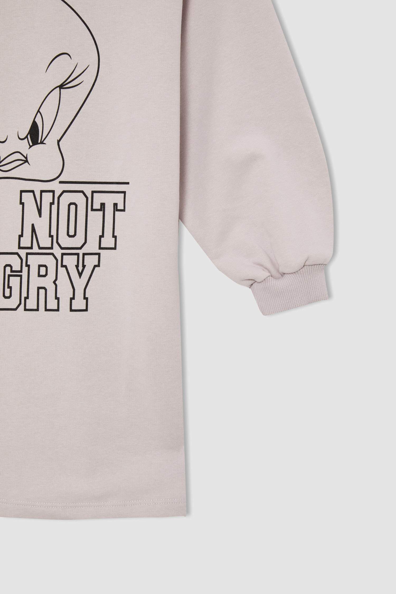 Kız Çocuk Tweety Lisanslı Sweat Elbise