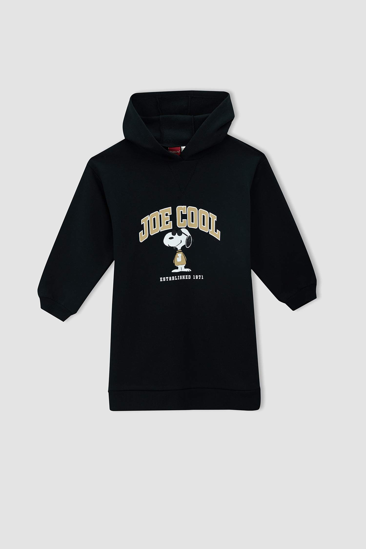 Kız Çocuk Snoopy Lisanslı Kapüşonlu İçi Yumuşak Tüylü Sweat Elbise