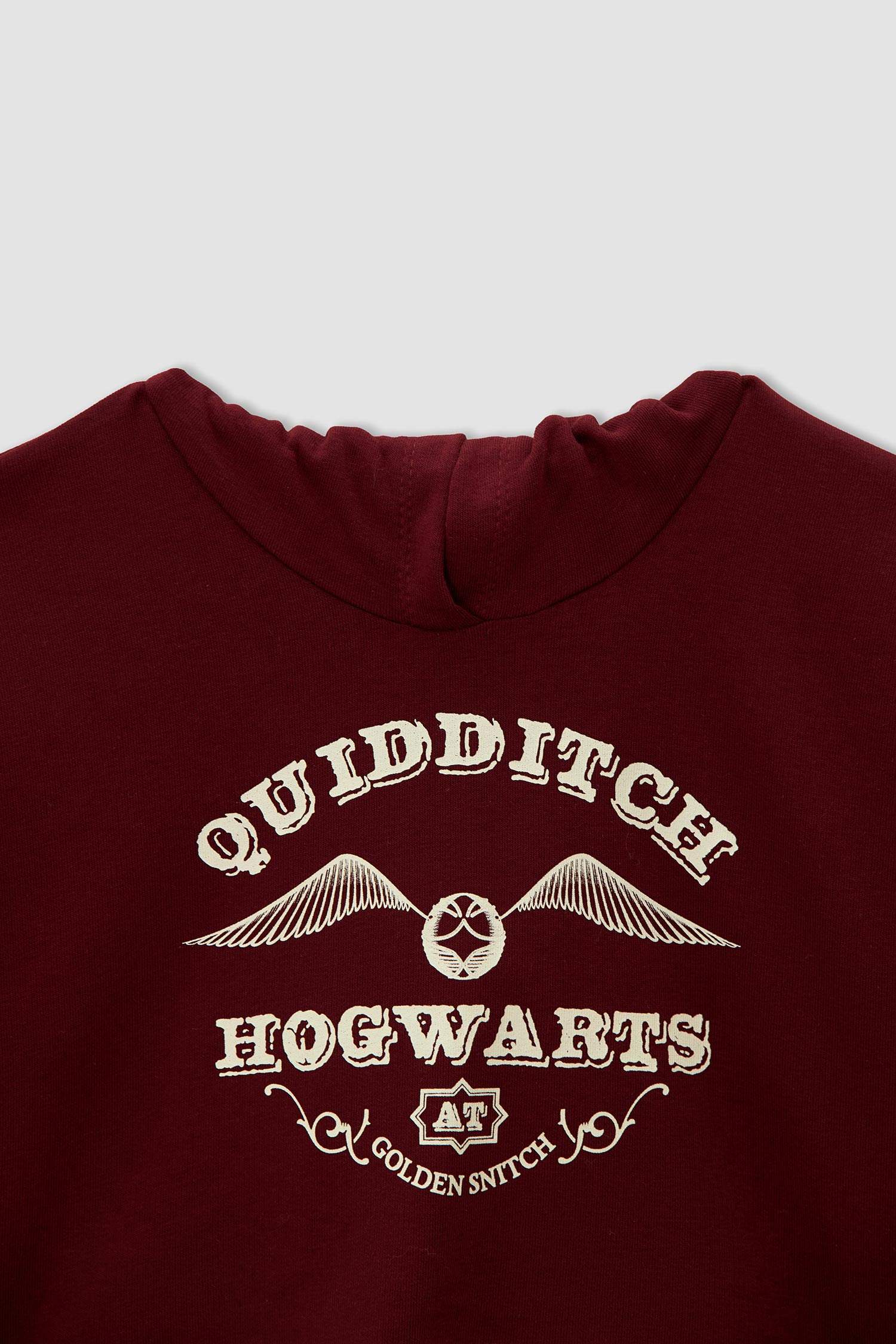 Kız Çocuk Harry Potter Lisanslı Kapüşonlu Crop Sweatshirt