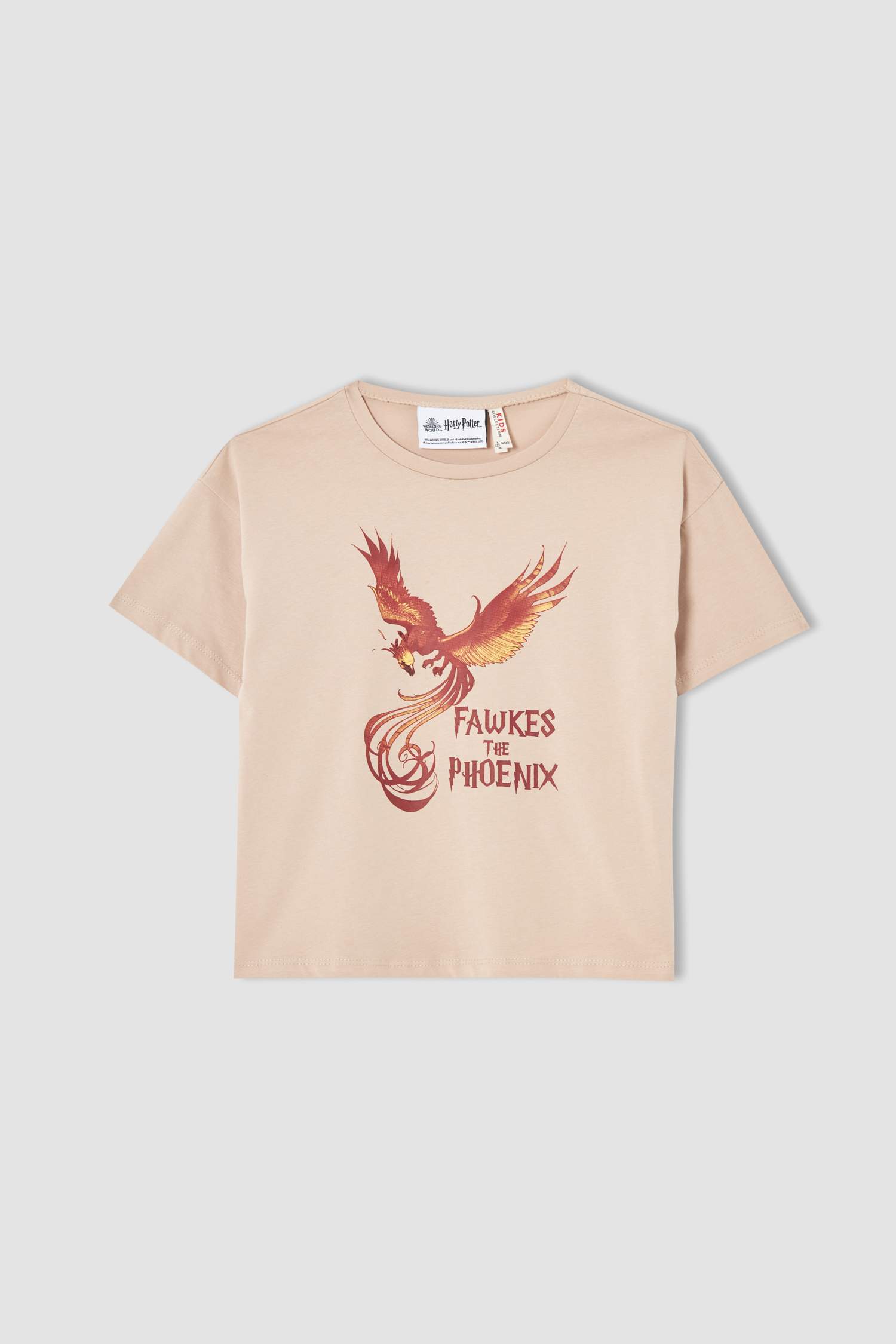 Kız Çocuk Harry Potter Lisanslı Kısa Kollu Tişört