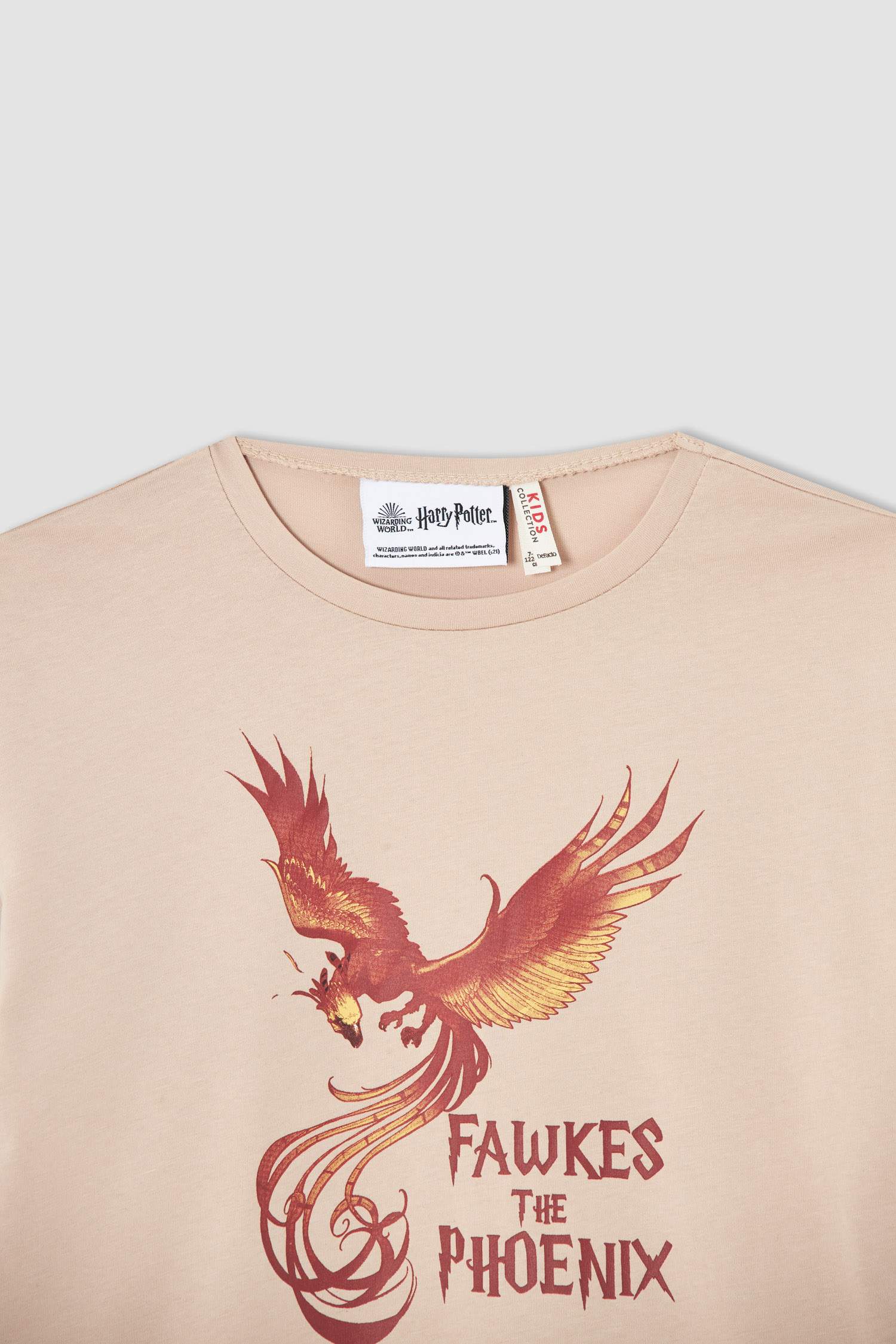Kız Çocuk Harry Potter Lisanslı Kısa Kollu Tişört