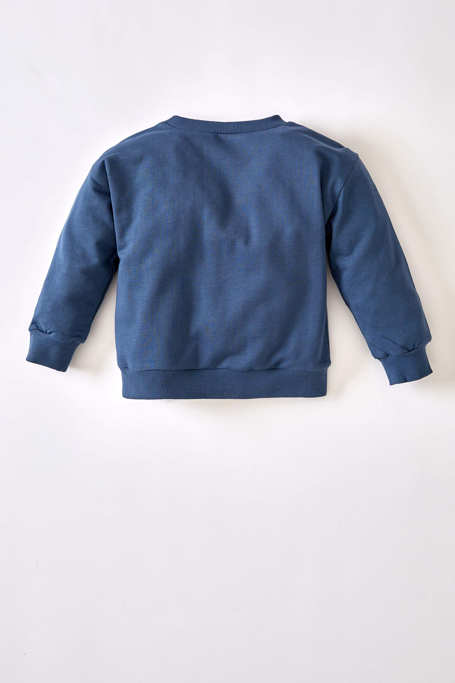 Erkek Bebek Regular Fit Slogan Baskılı Sweatshirt