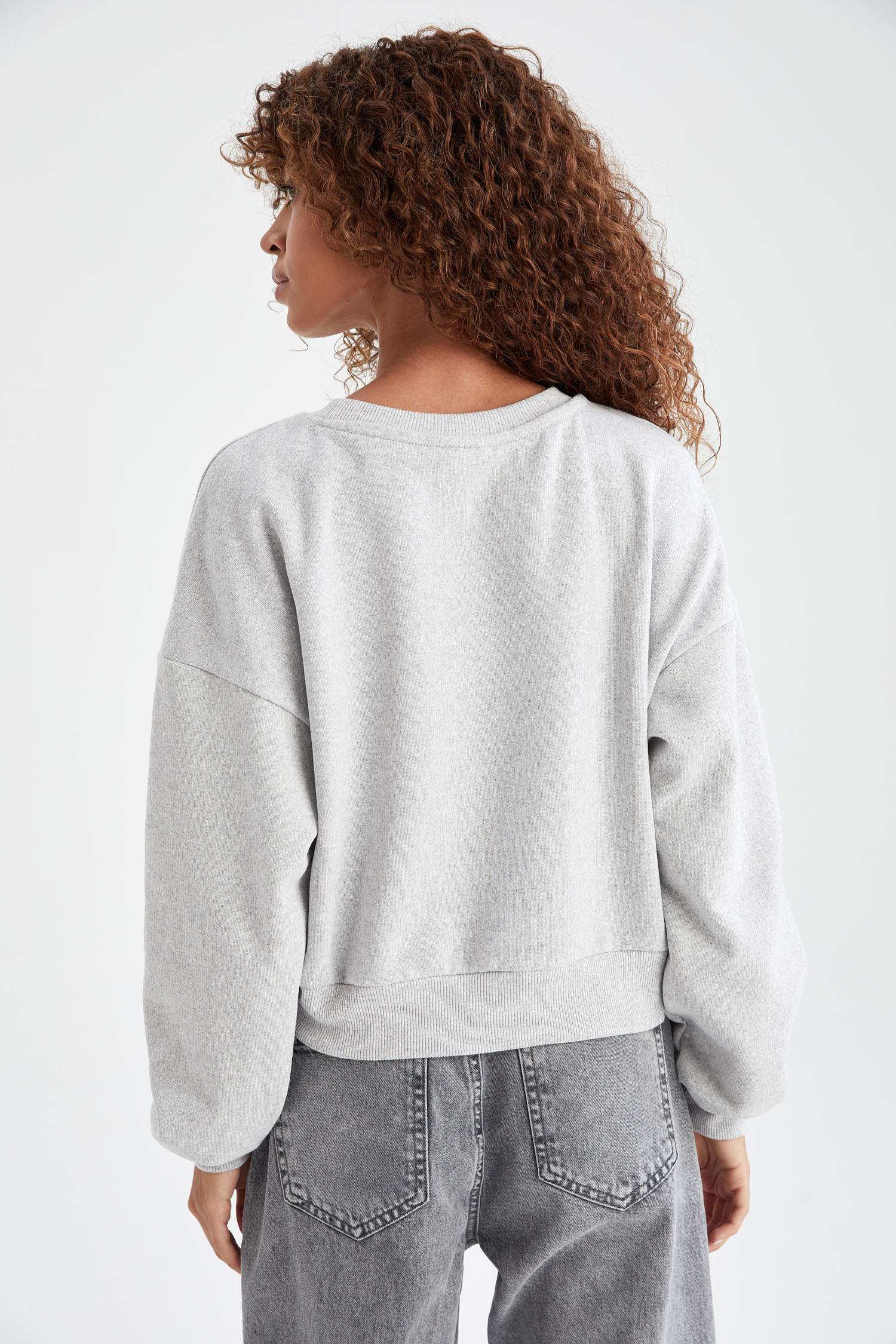 Regular Fit Bisiklet Yaka Uzun Kollu Sweatshirt