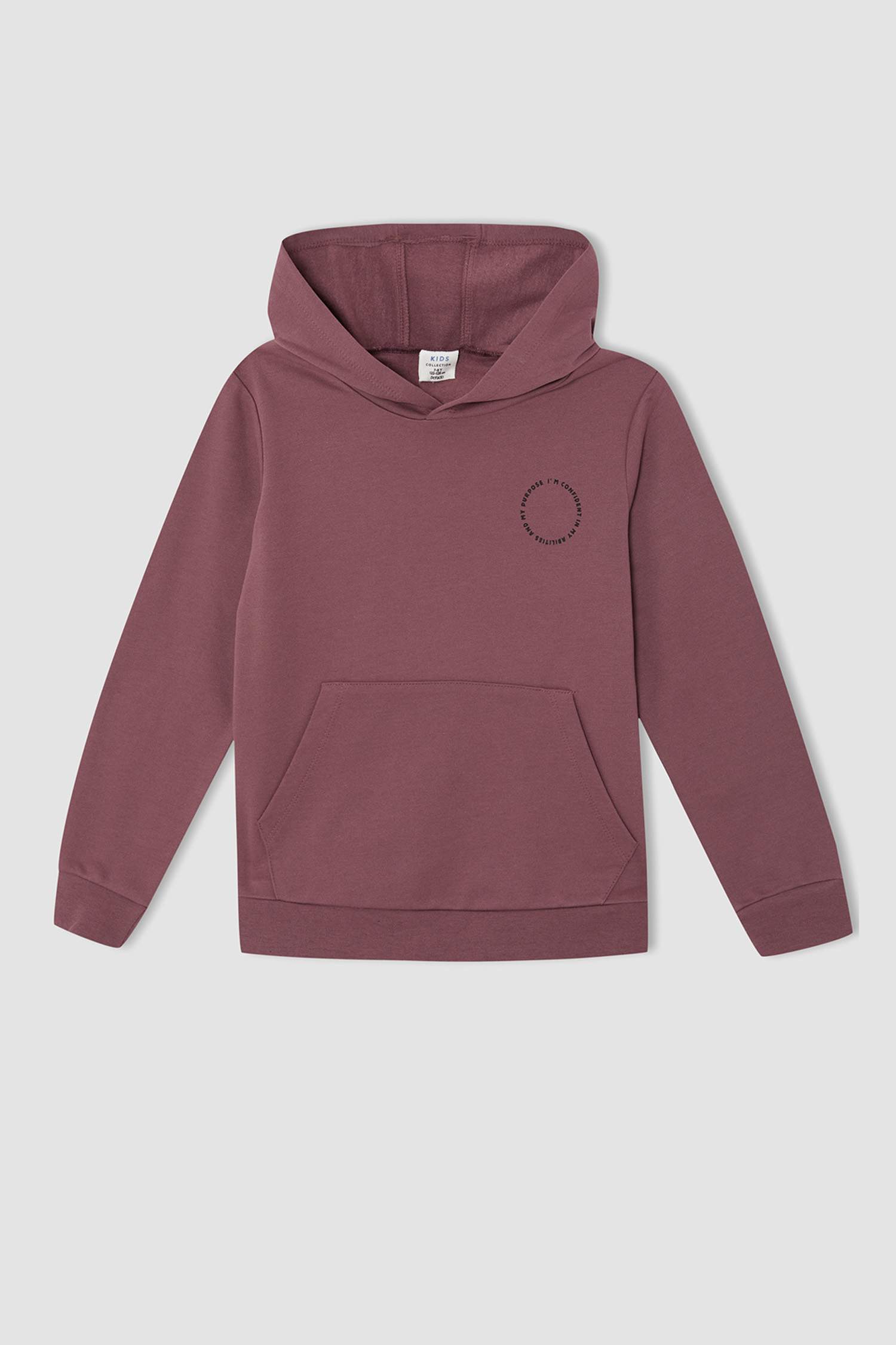 Erkek Çocuk Regular Fit Sırt Baskılı Kapüşonlu Sweatshirt