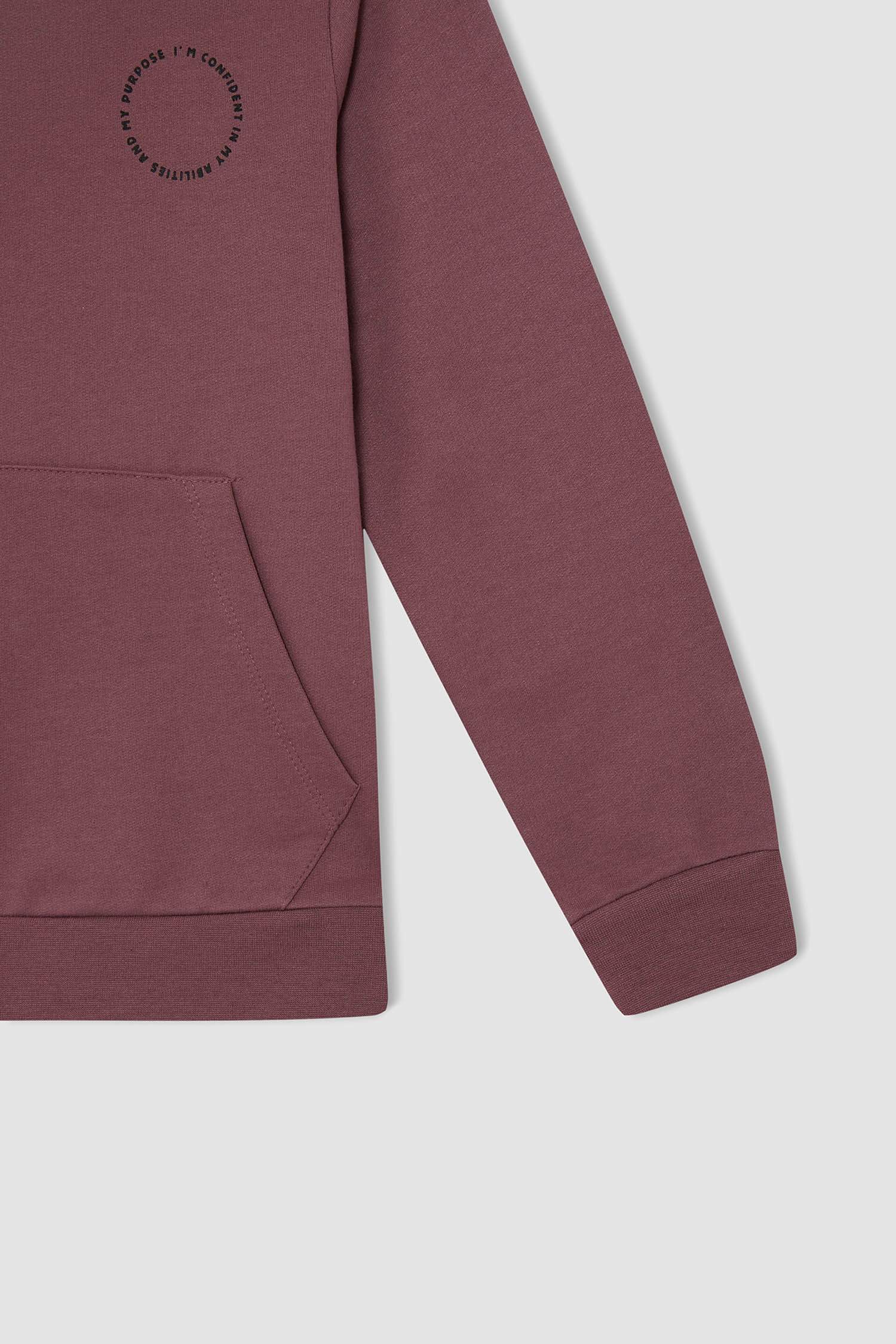 Erkek Çocuk Regular Fit Sırt Baskılı Kapüşonlu Sweatshirt