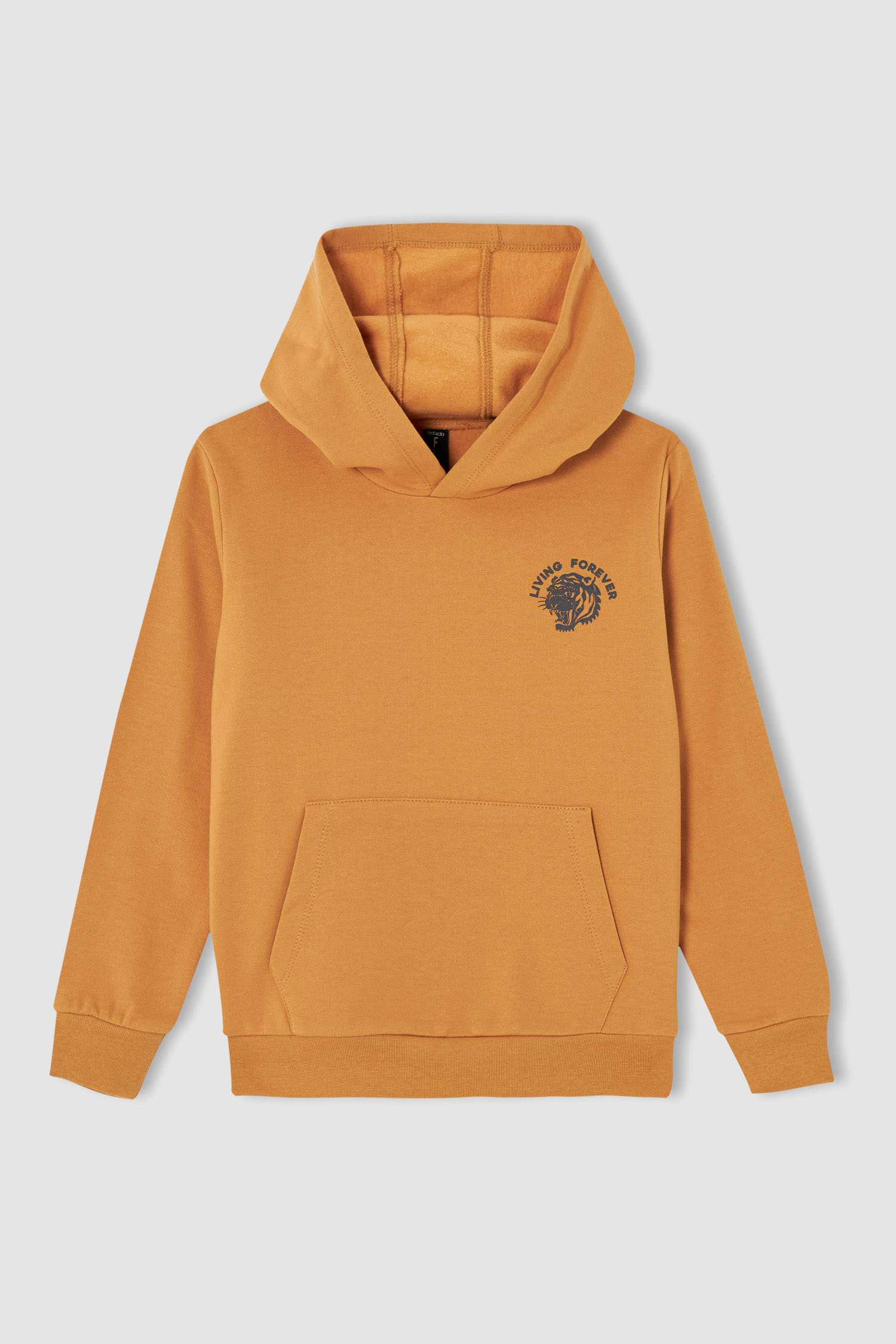 Erkek Çocuk Regular Fit Sırt Baskılı Kapüşonlu Sweatshirt