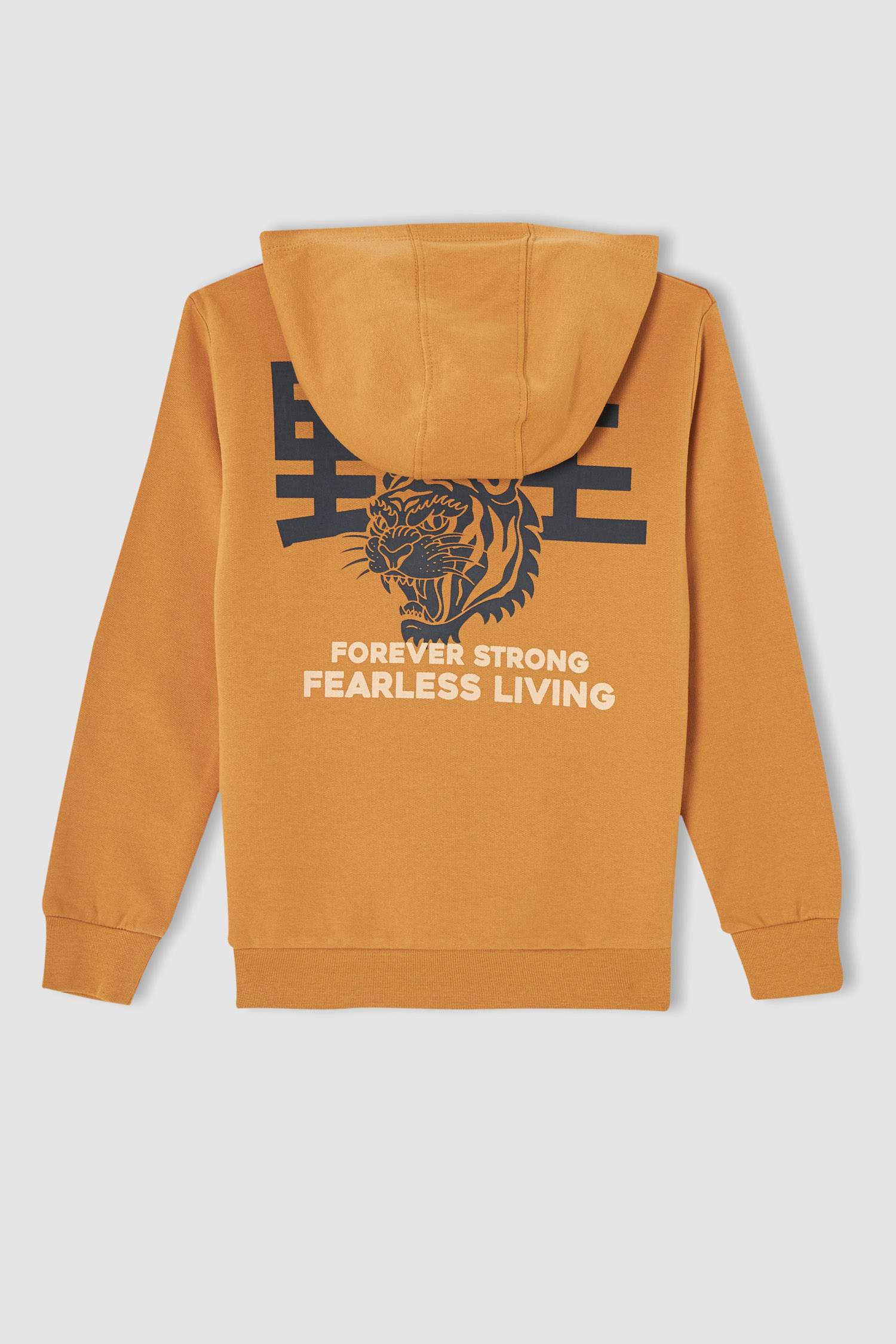 Erkek Çocuk Regular Fit Sırt Baskılı Kapüşonlu Sweatshirt