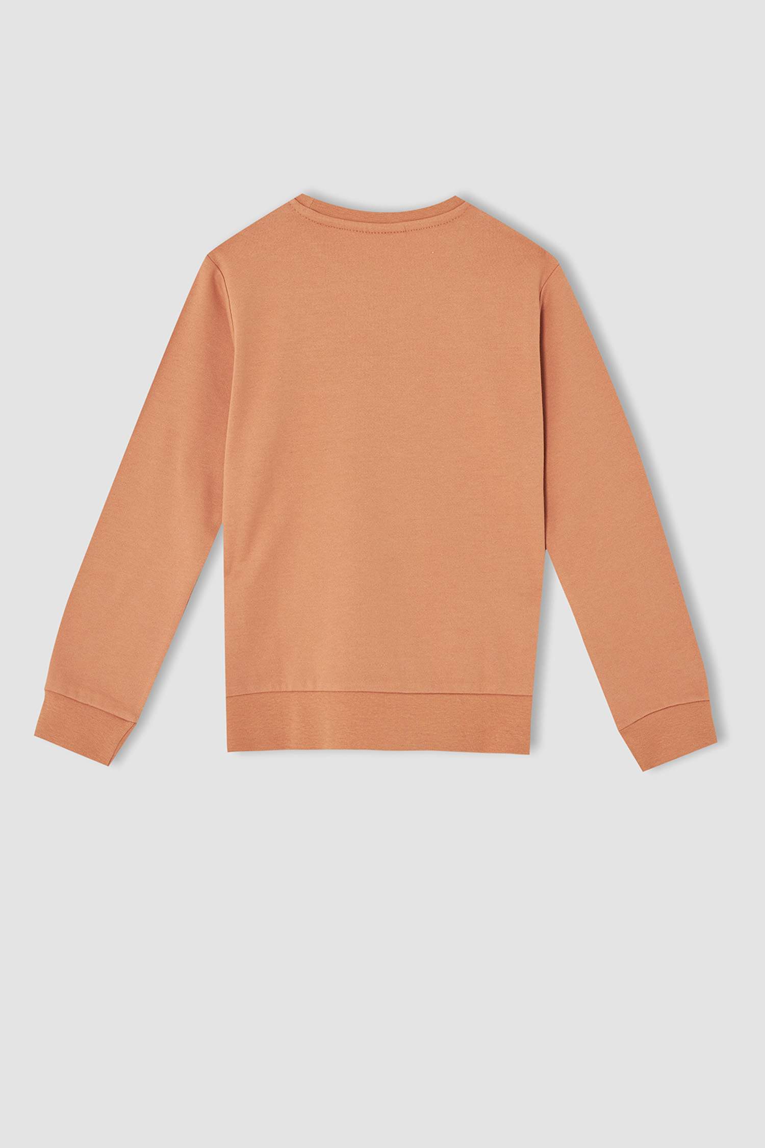 Erkek Çocuk Sonic Lisanslı Sweatshirt
