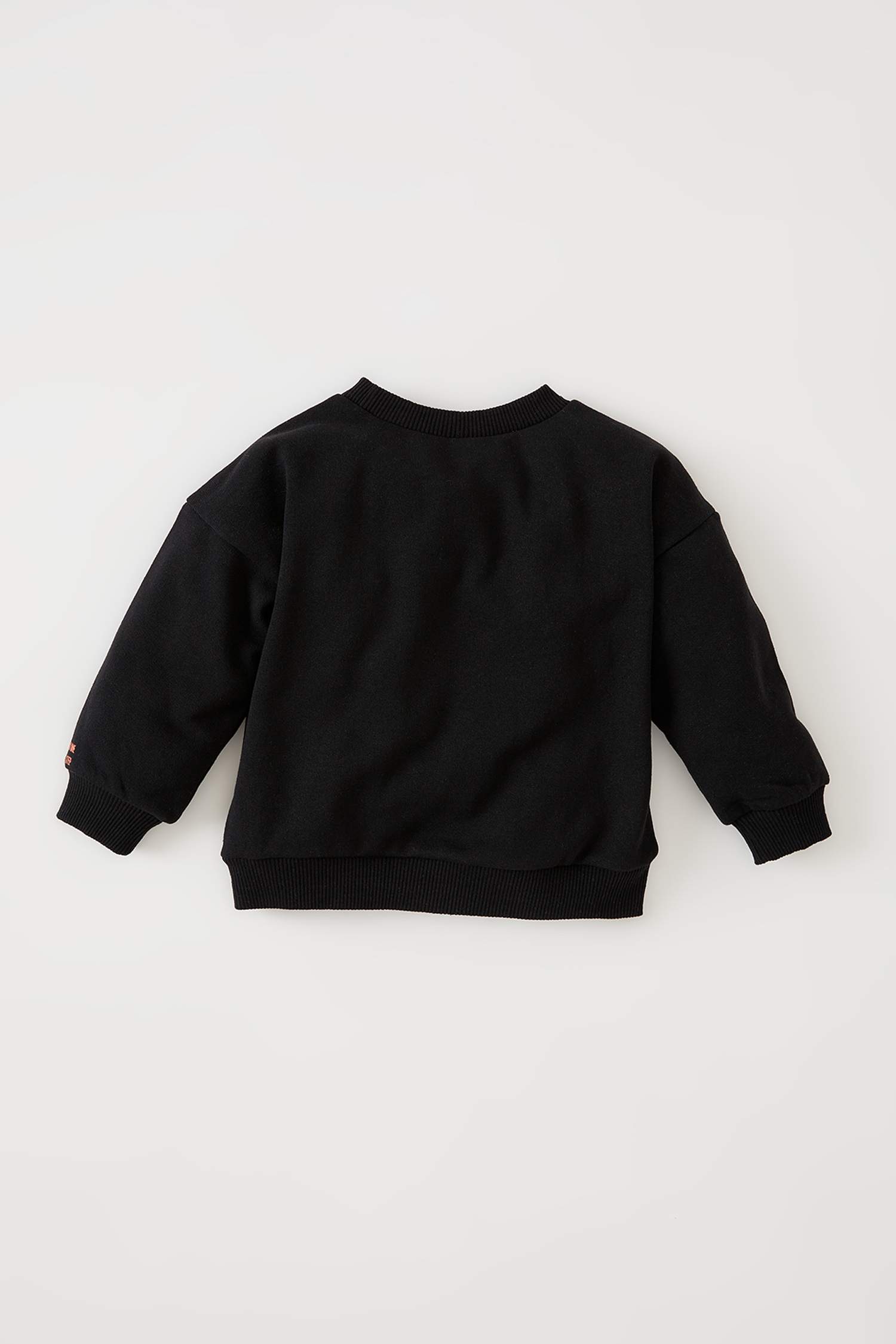 Erkek Bebek Regular Fit Baskılı İçi Yumuşak Tüylü Isı Yalıtımlı Warmtech Sweatshirt