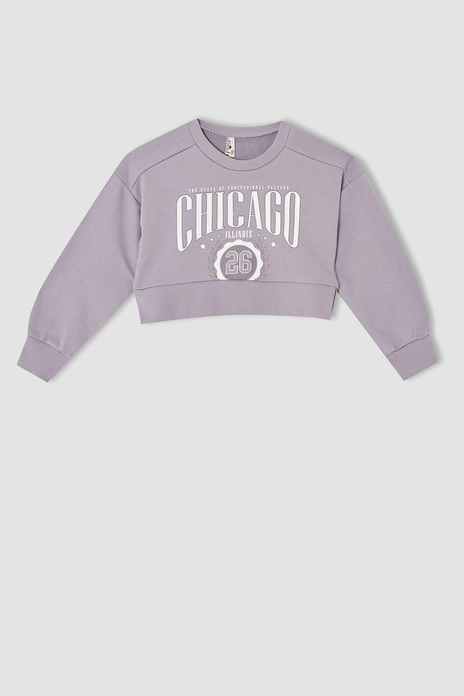 Kız Çocuk Baskılı Crop Sweatshirt