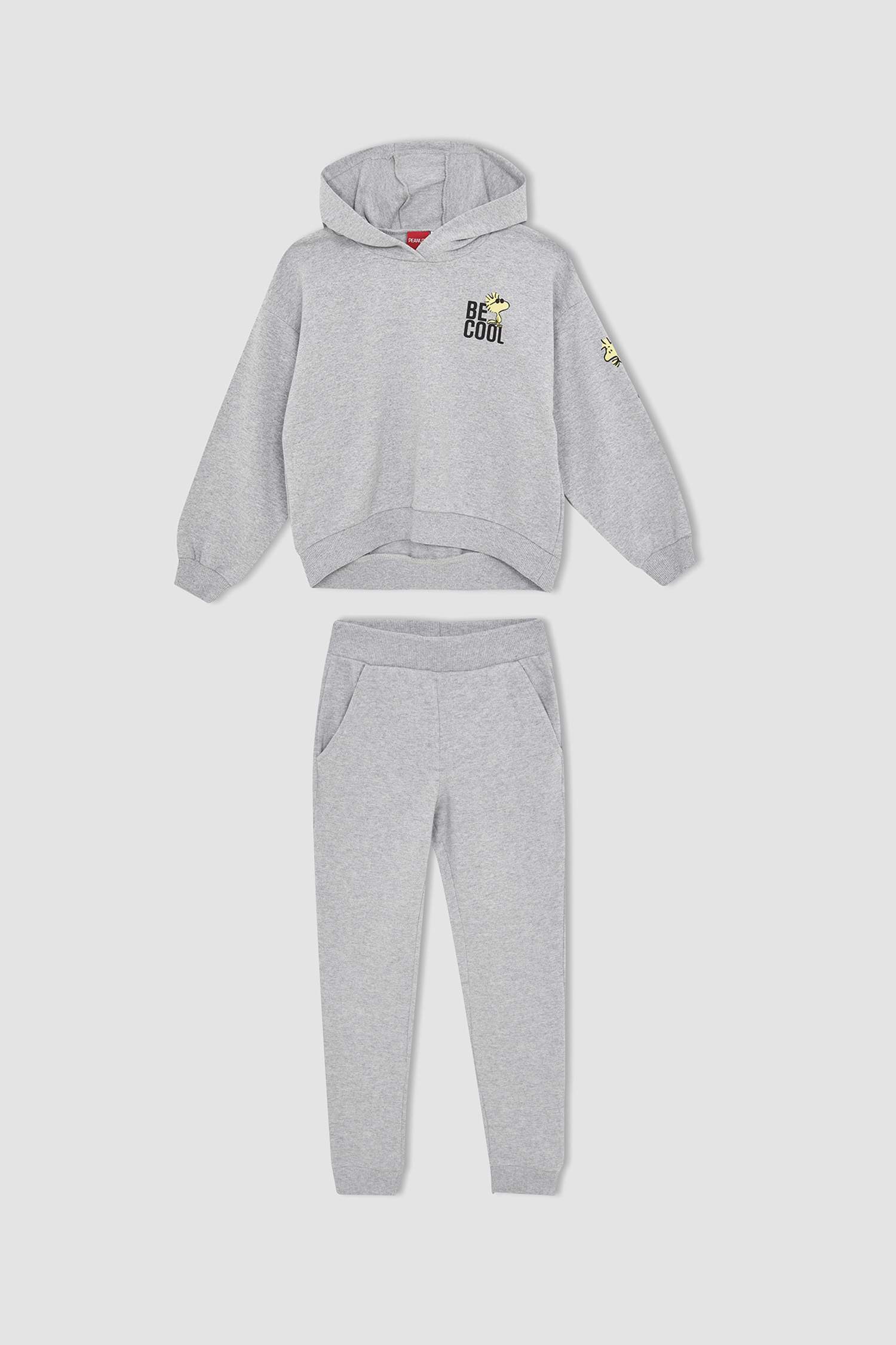 Kız Çocuk Snoopy Lisanslı Coool Regular Fit Kapüşonlu İçi Yumuşak Tüylü 2'li Takım
