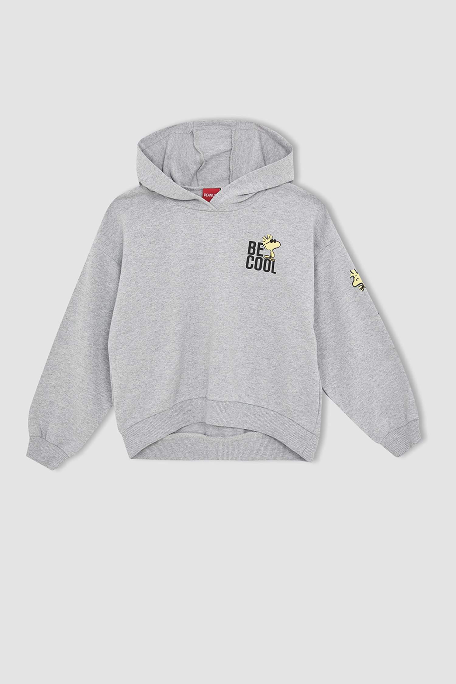 Kız Çocuk Snoopy Lisanslı Coool Regular Fit Kapüşonlu İçi Yumuşak Tüylü 2'li Takım