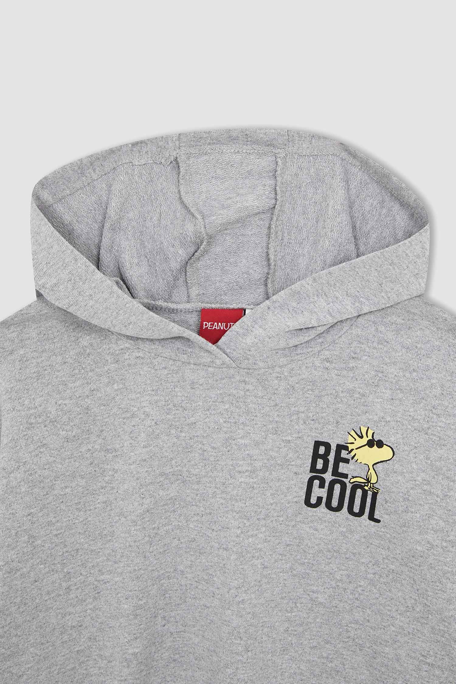 Kız Çocuk Snoopy Lisanslı Coool Regular Fit Kapüşonlu İçi Yumuşak Tüylü 2'li Takım