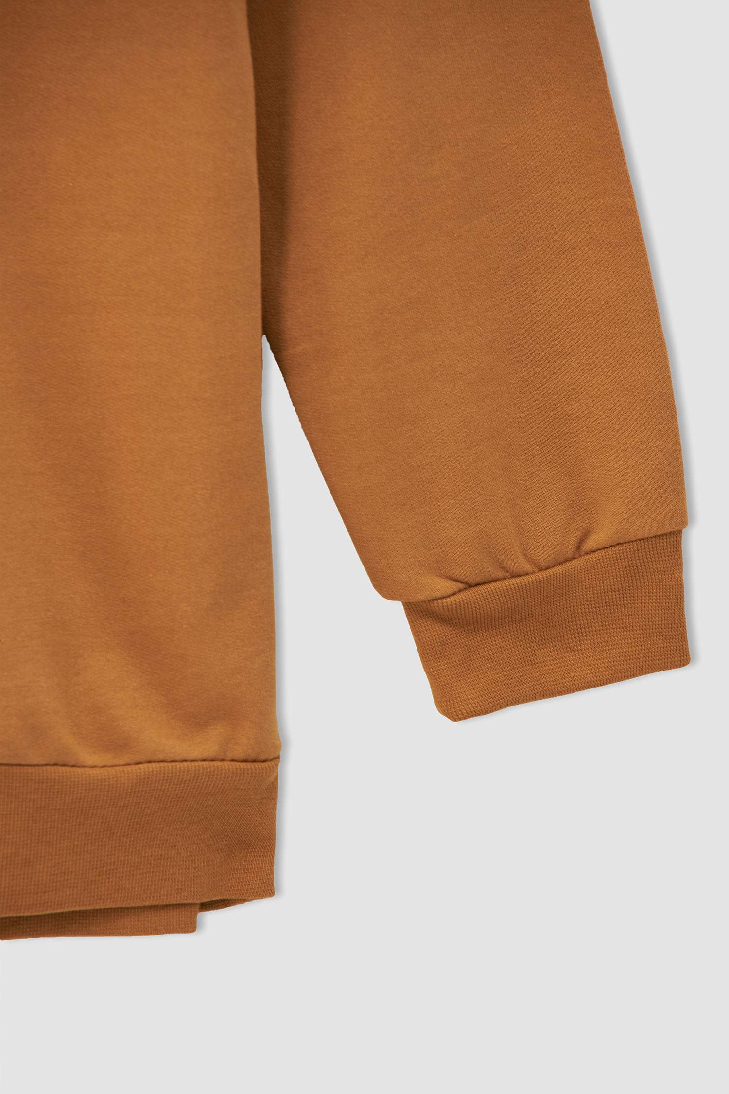 Erkek Çocuk Regular Fit Kapüşonlu Kaplan Baskılı Sweatshirt