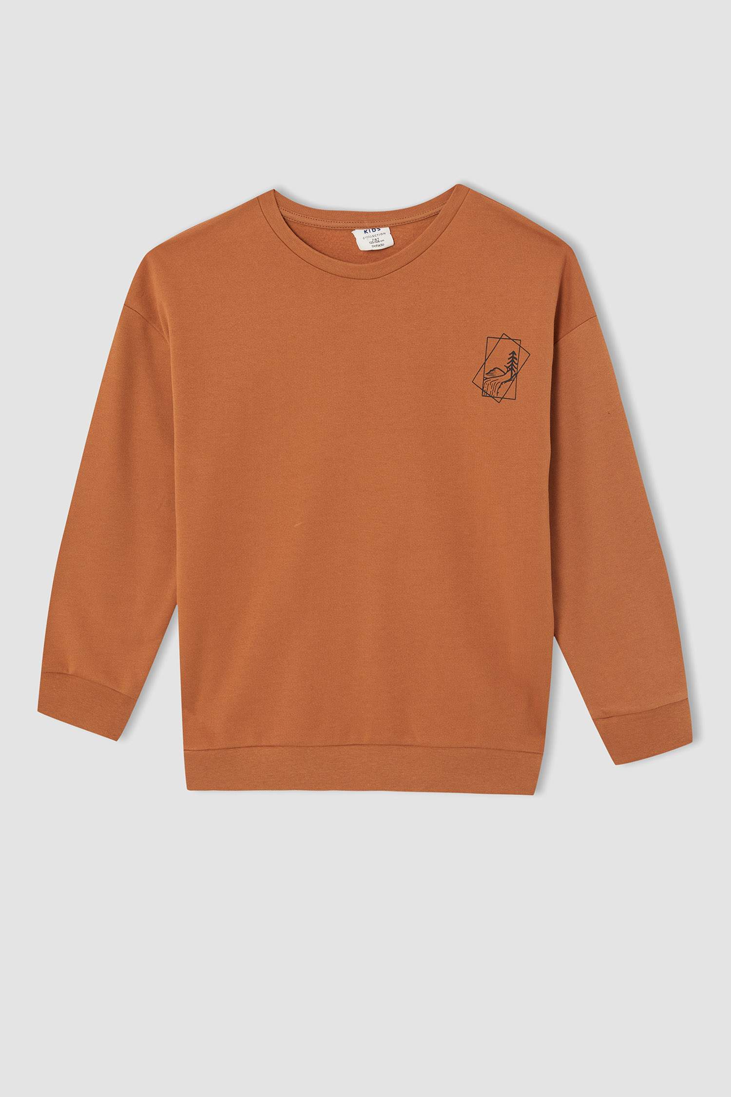 Erkek Çocuk Relax Fit Baskılı Bisiklet Yaka Baskılı Pamuklu Sweatshirt