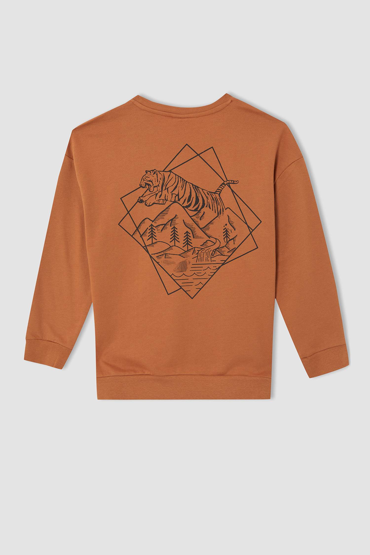 Erkek Çocuk Relax Fit Baskılı Bisiklet Yaka Baskılı Pamuklu Sweatshirt