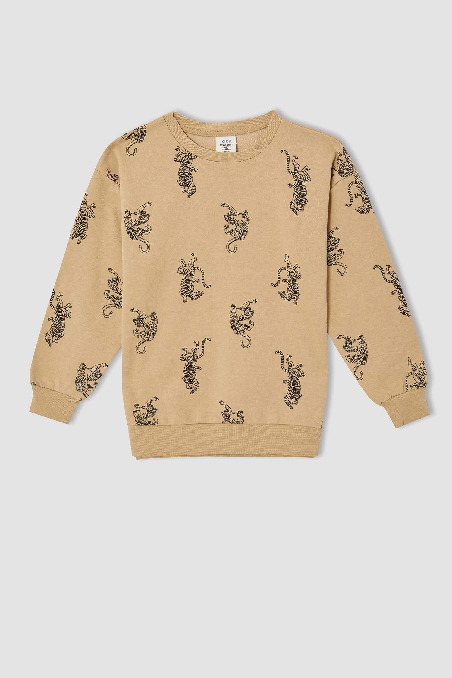 Erkek Çocuk Relax Fit Hayvan Desenli Bisiklet Yaka Sweatshirt