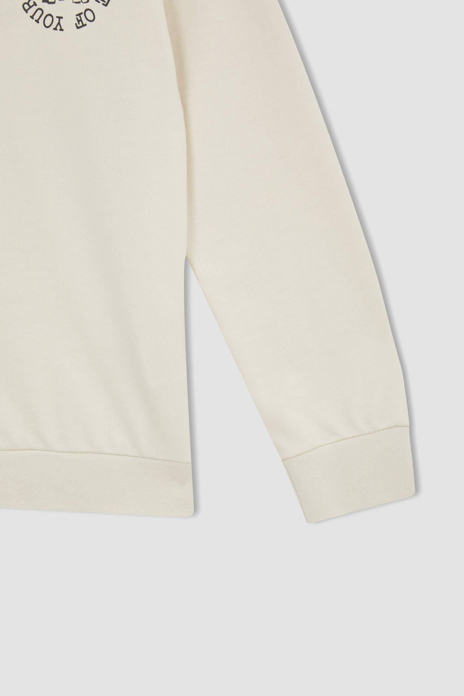 Erkek Çocuk Regular Fit Hayvan Desenli Bisiklet Yaka Sırt Baskılı Sweatshirt