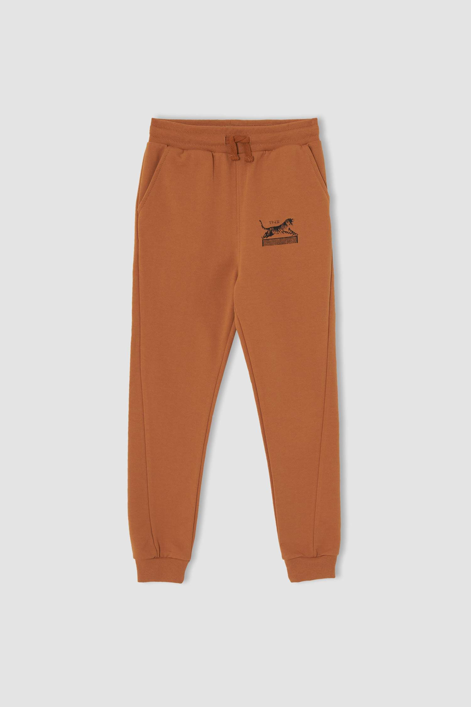 Erkek Çocuk Regular Fit Kaplan Baskılı Jogger Eşofman Altı