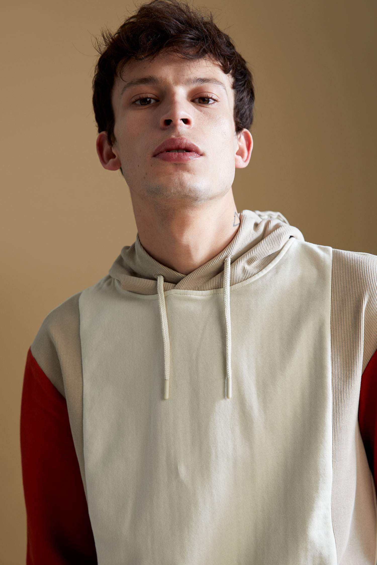 Regular Fit Kapüşonlu Renk Bloklu Uzun Kollu Sweatshirt