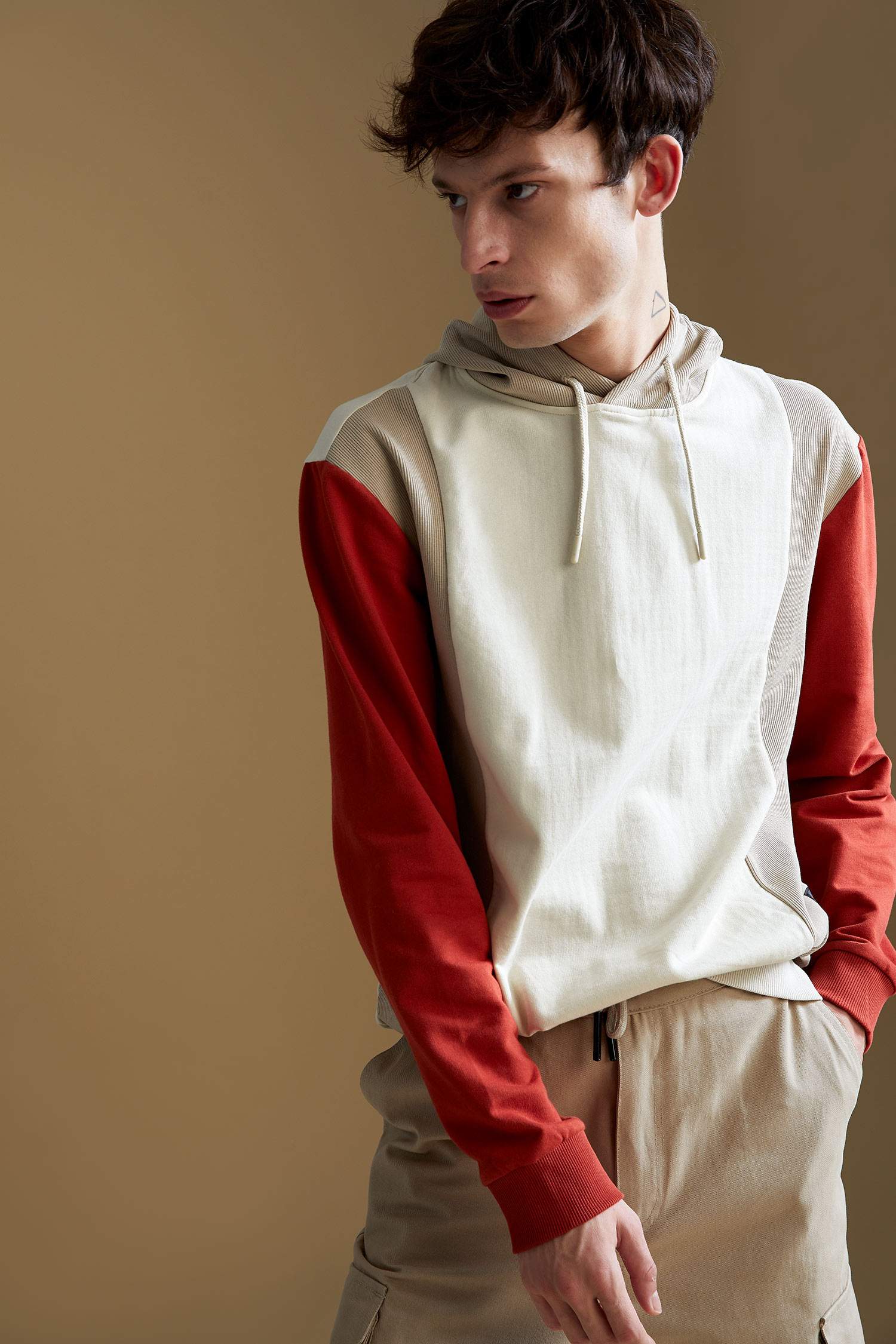 Regular Fit Kapüşonlu Renk Bloklu Uzun Kollu Sweatshirt