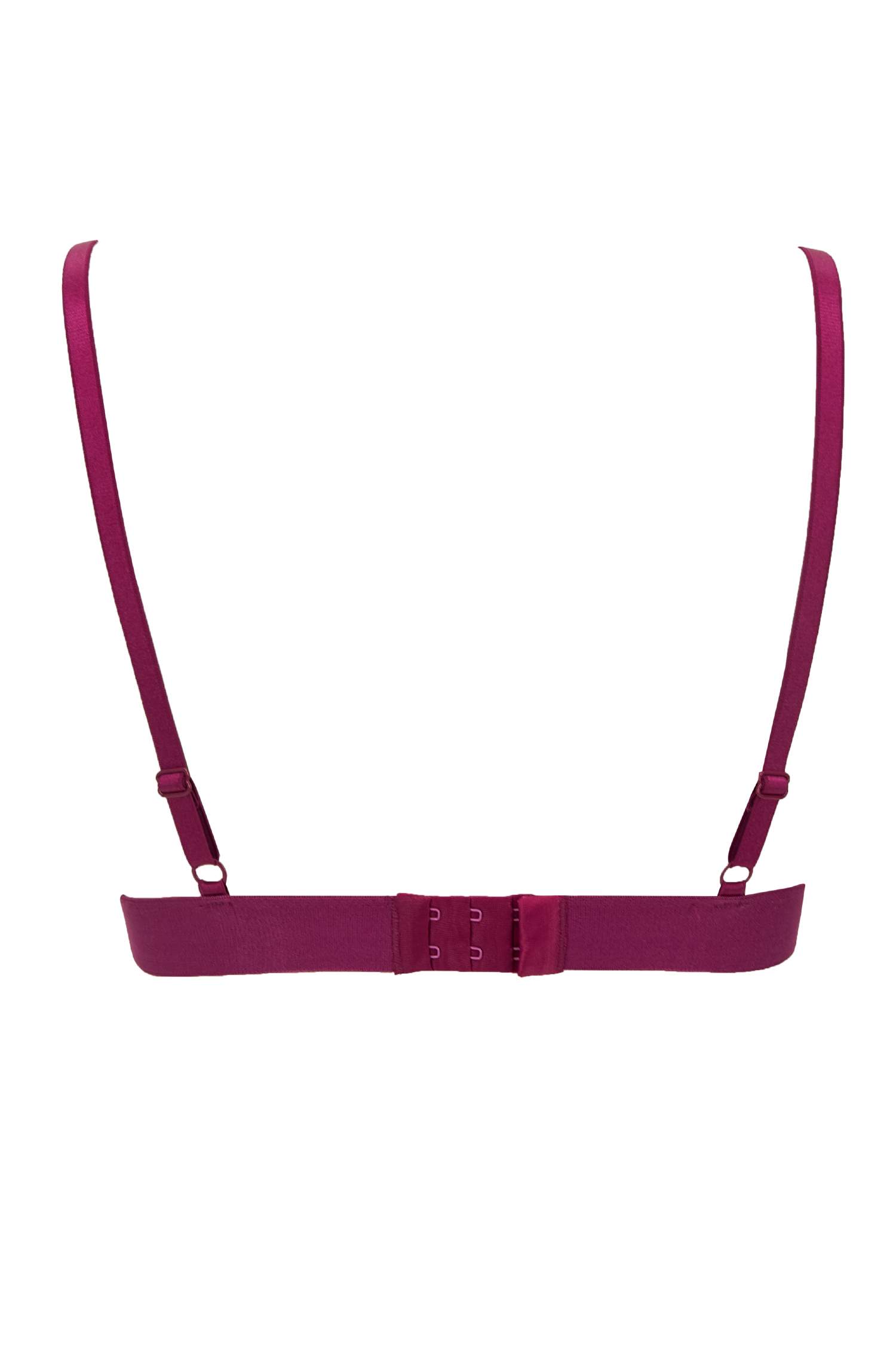 Dantelli Triangle Bralet