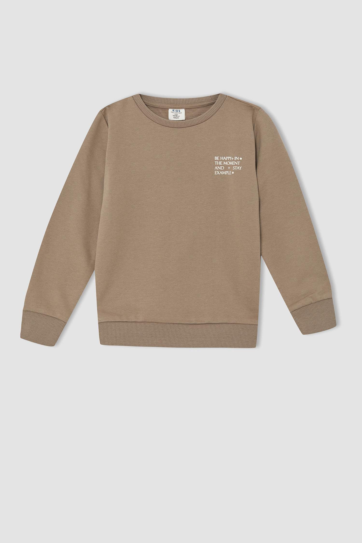 Erkek Çocuk Regular Fit Bisiklet Yaka İçi Yumuşak Tüylü 2'li Sweatshirt