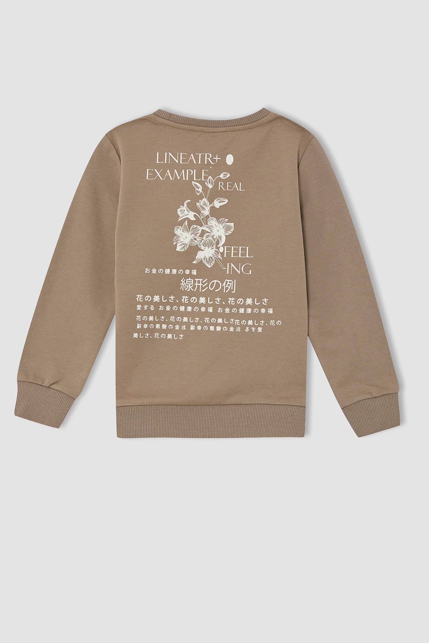 Erkek Çocuk Regular Fit Bisiklet Yaka İçi Yumuşak Tüylü 2'li Sweatshirt