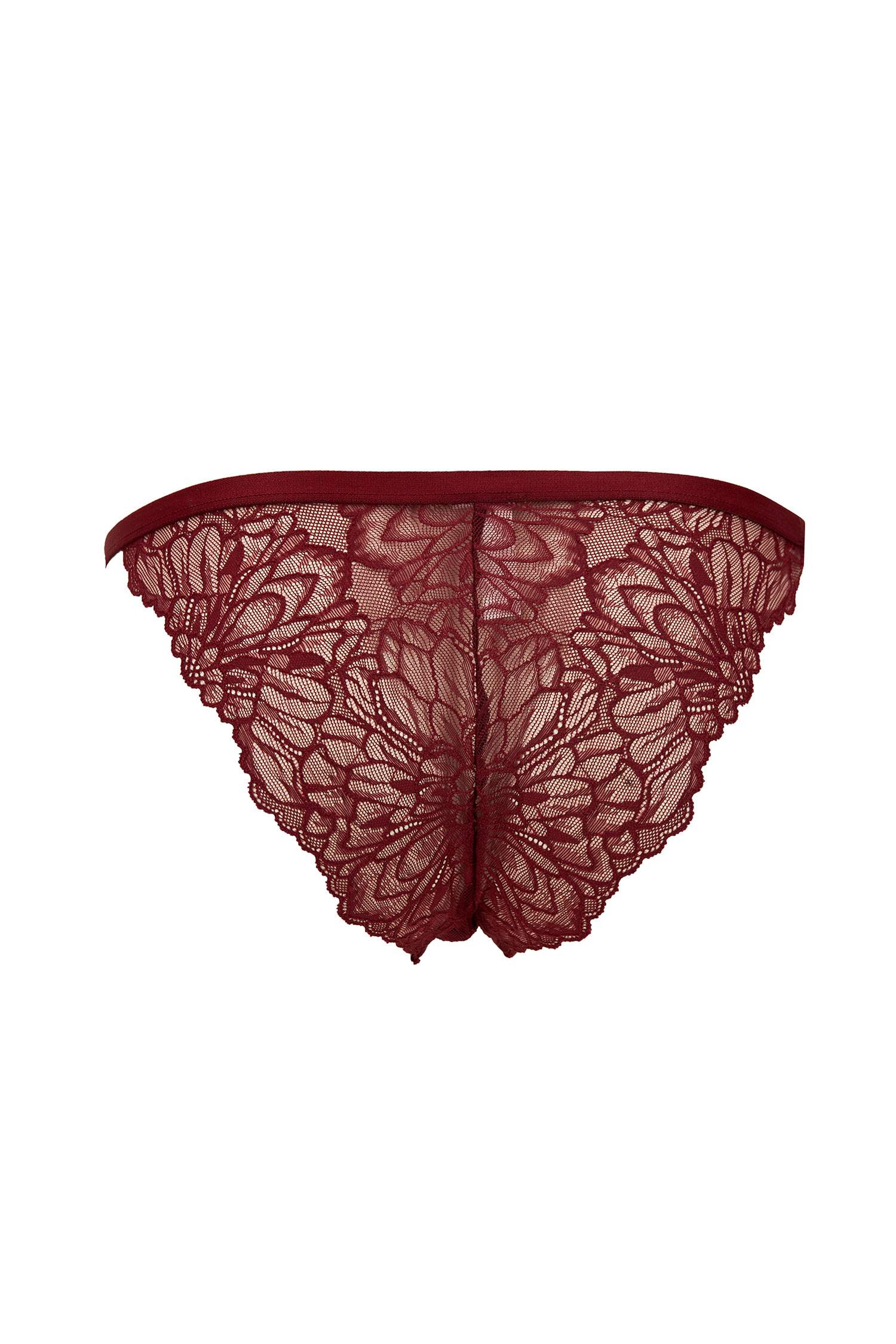 Dantelli Brazilian Külot