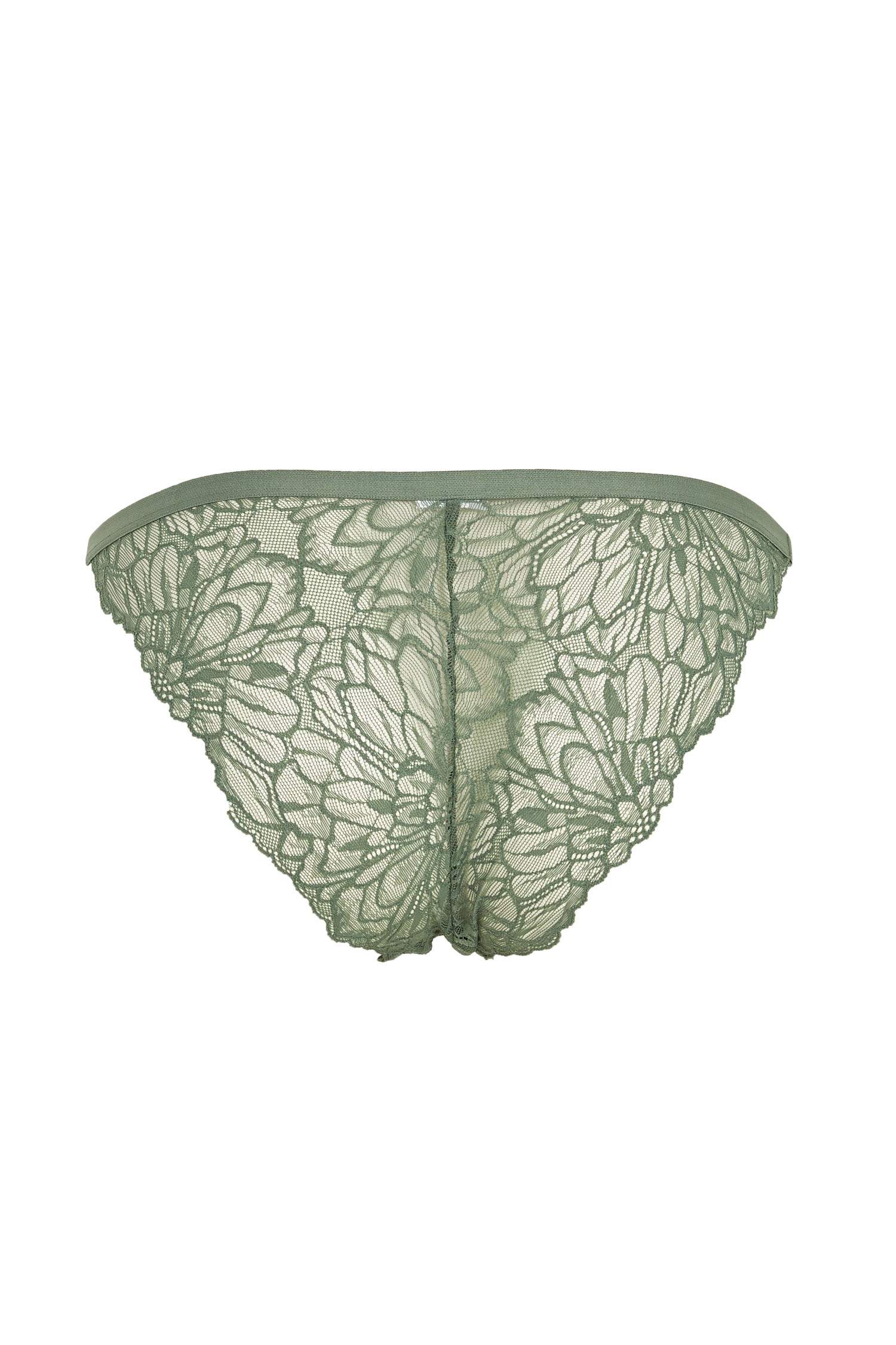 Dantelli Brazilian Külot