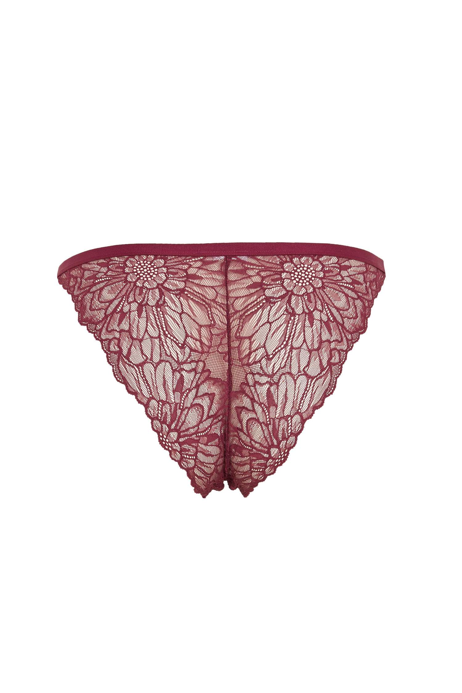 Dantelli Brazilian Külot