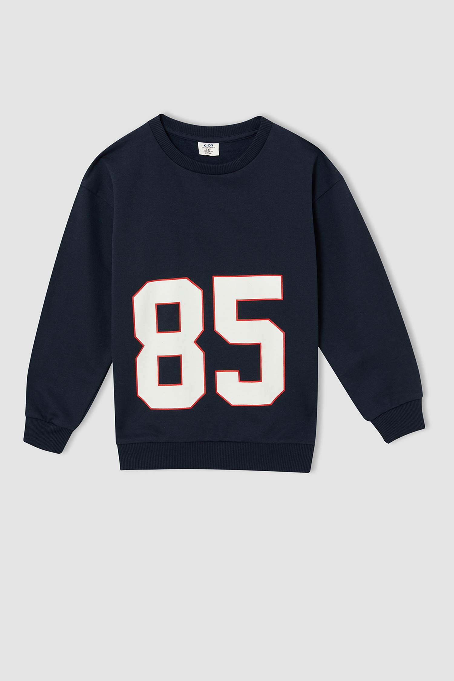 Erkek Çocuk Regular Fit Bisiklet Yaka Çizgili 2'li Sweatshirt