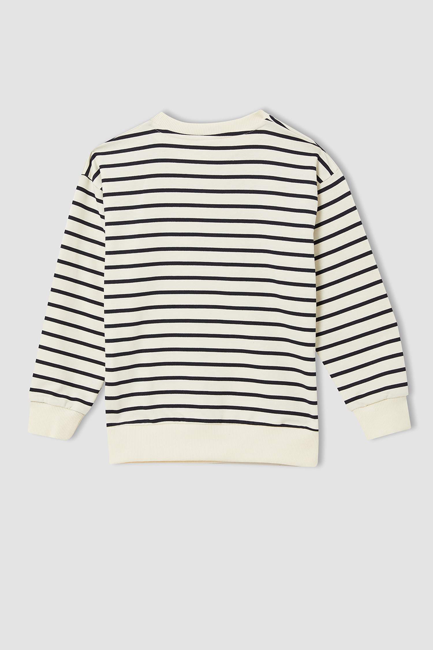 Erkek Çocuk Regular Fit Bisiklet Yaka Çizgili 2'li Sweatshirt