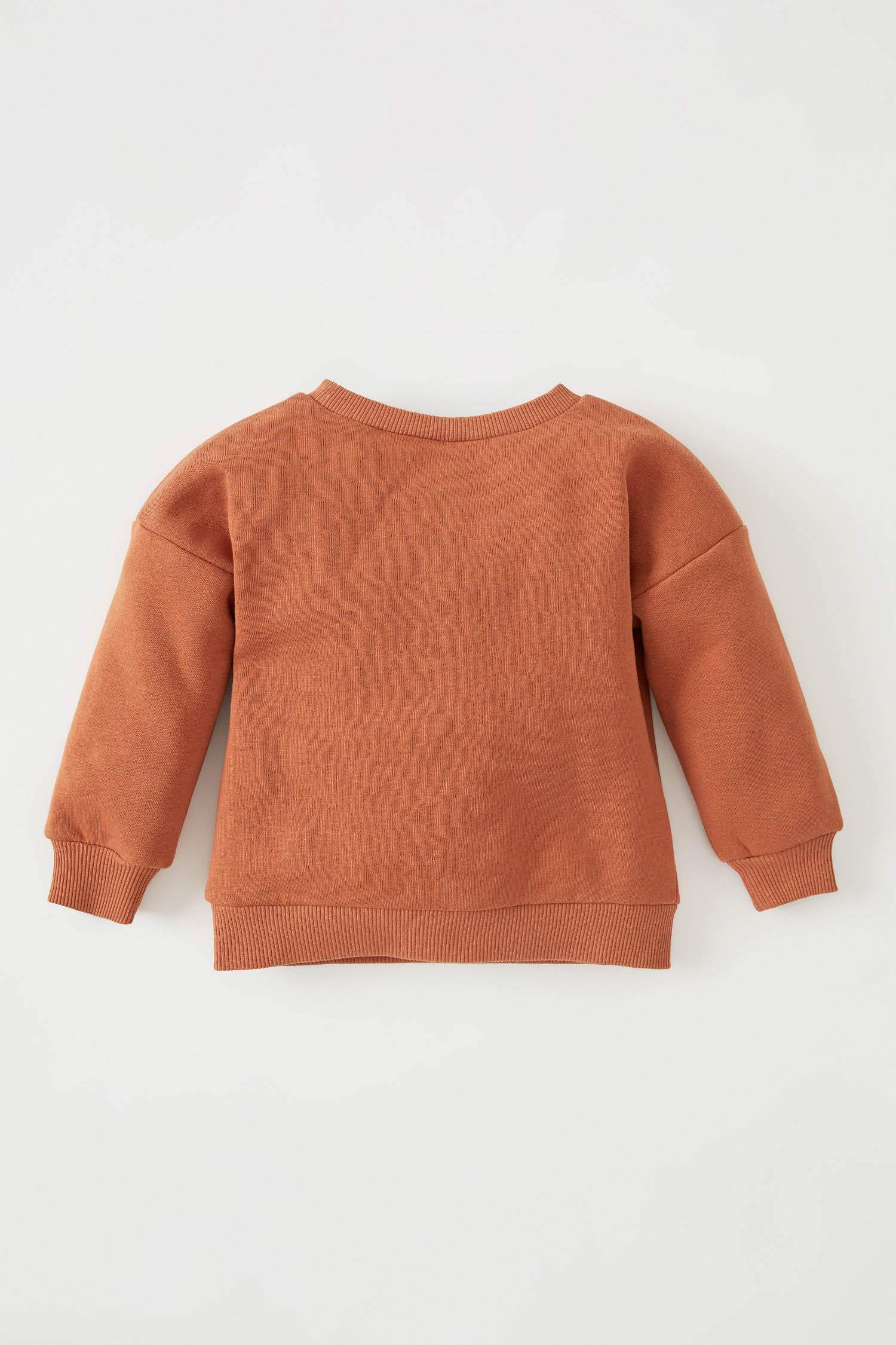 Erkek Bebek Regular Fit Baskılı Kanguru Cepli Sweatshirt