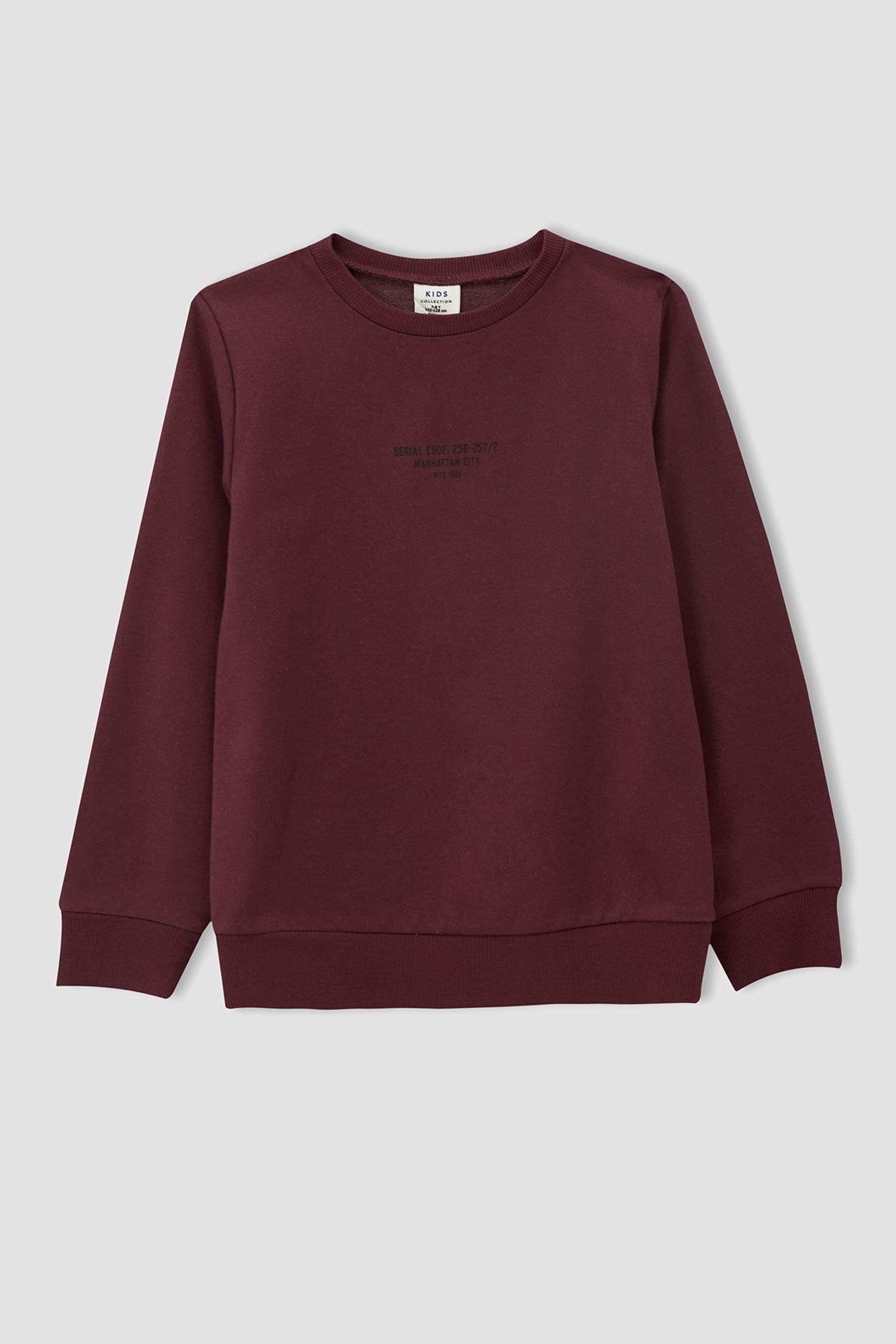 Erkek Çocuk Regular Fit Basic 2'li Sweatshirt