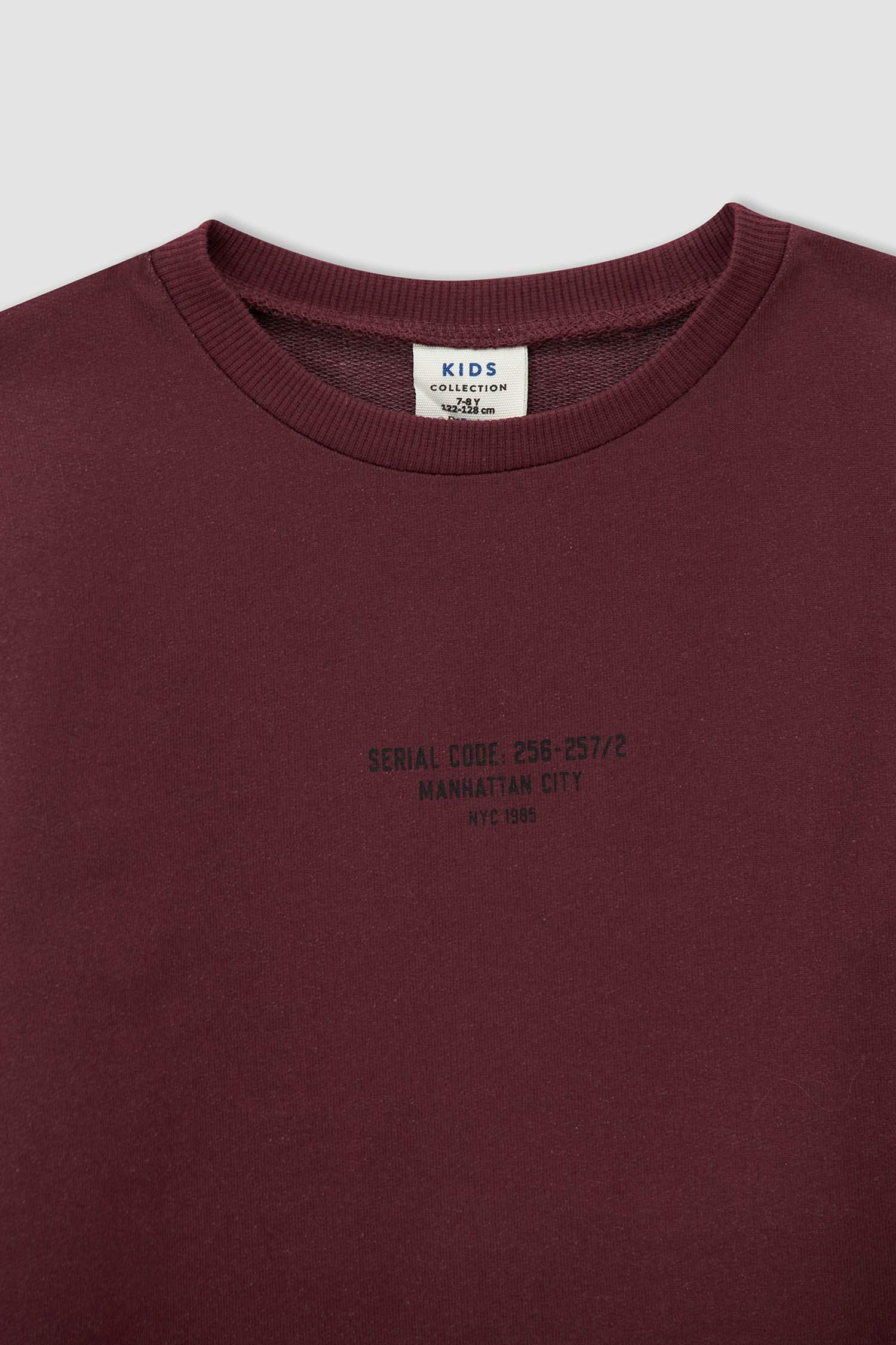 Erkek Çocuk Regular Fit Basic 2'li Sweatshirt