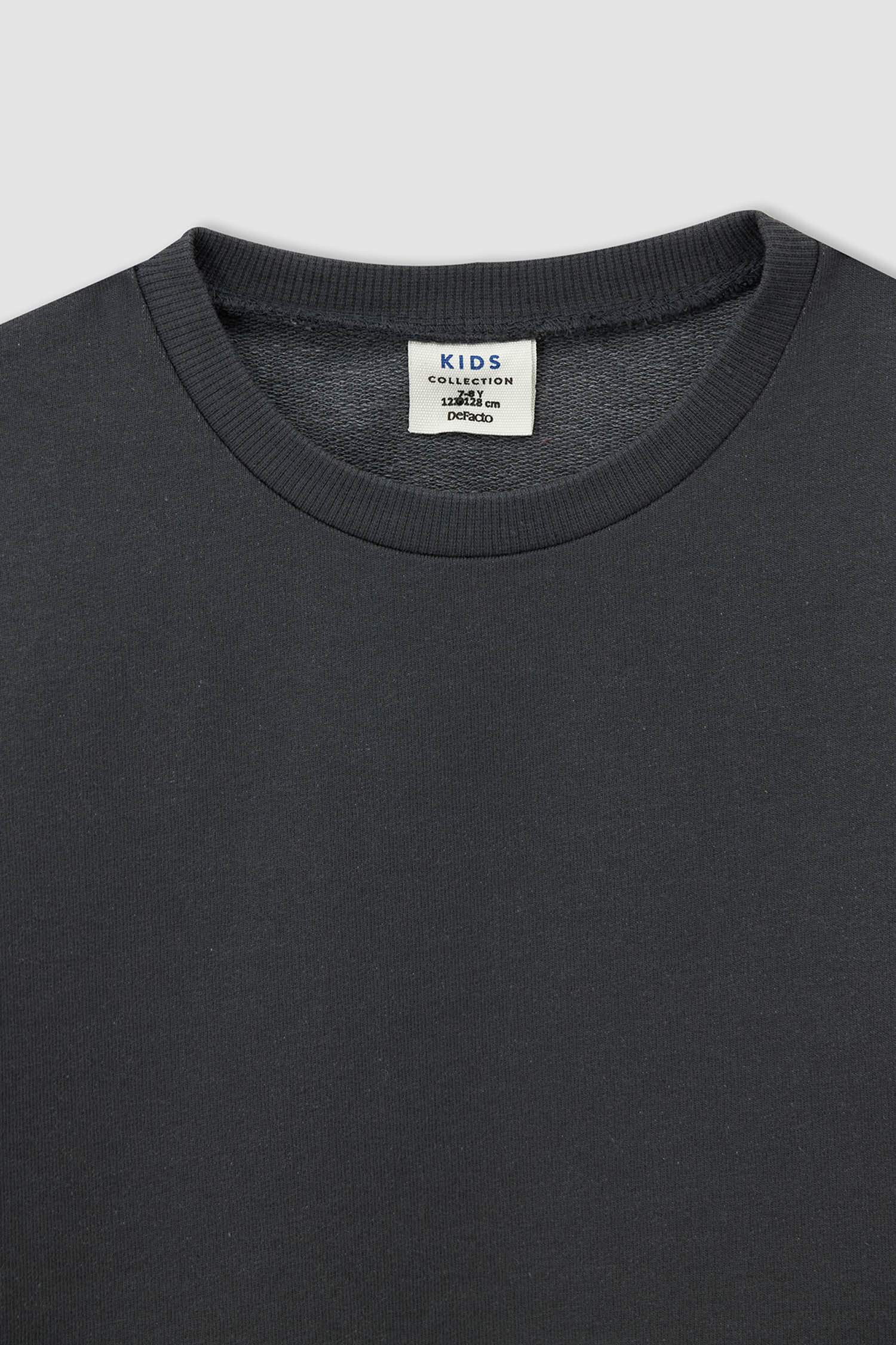 Erkek Çocuk Regular Fit Basic 2'li Sweatshirt