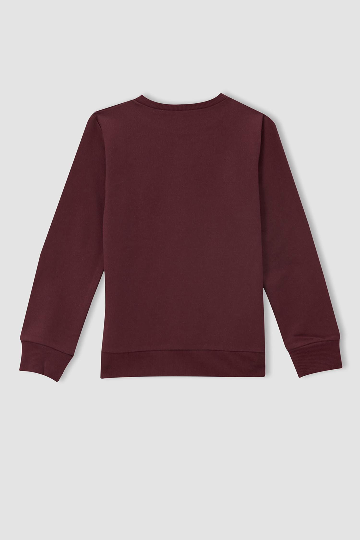 Erkek Çocuk Regular Fit Basic 2'li Sweatshirt