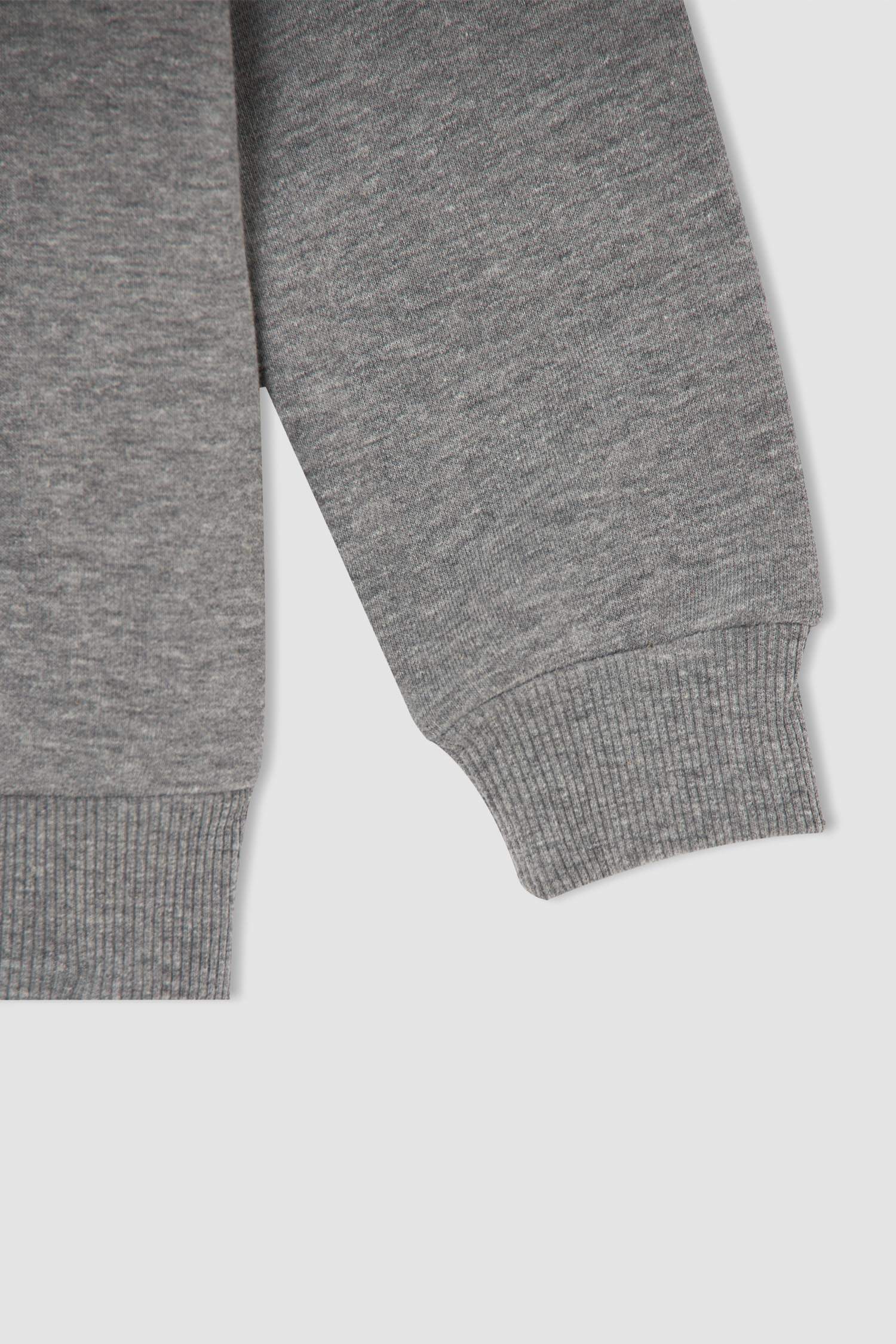 Erkek Çocuk Regular Fit Dinozor Baskılı Kapüşonlu Kanguru Cepli Sweatshirt
