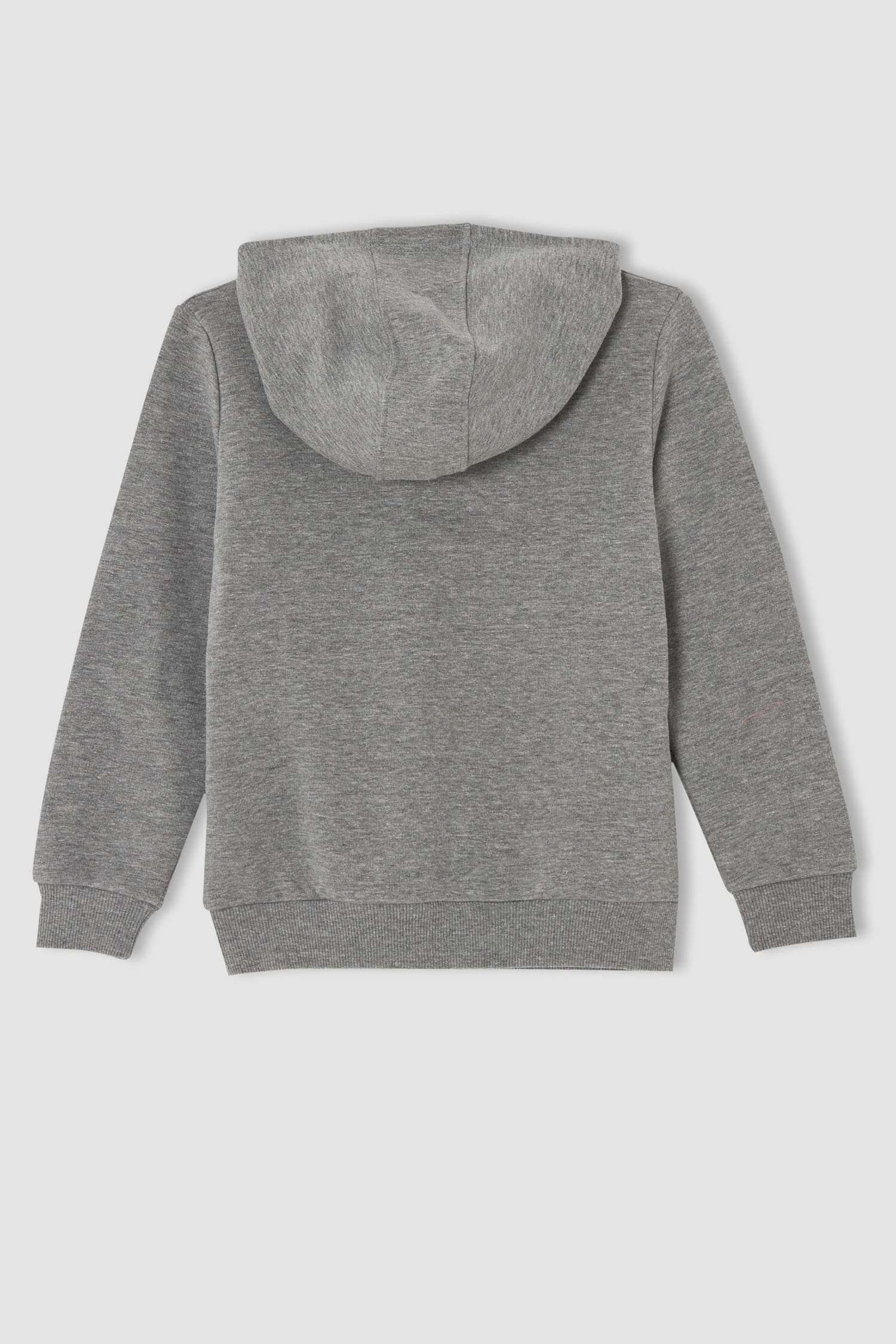 Erkek Çocuk Regular Fit Dinozor Baskılı Kapüşonlu Kanguru Cepli Sweatshirt
