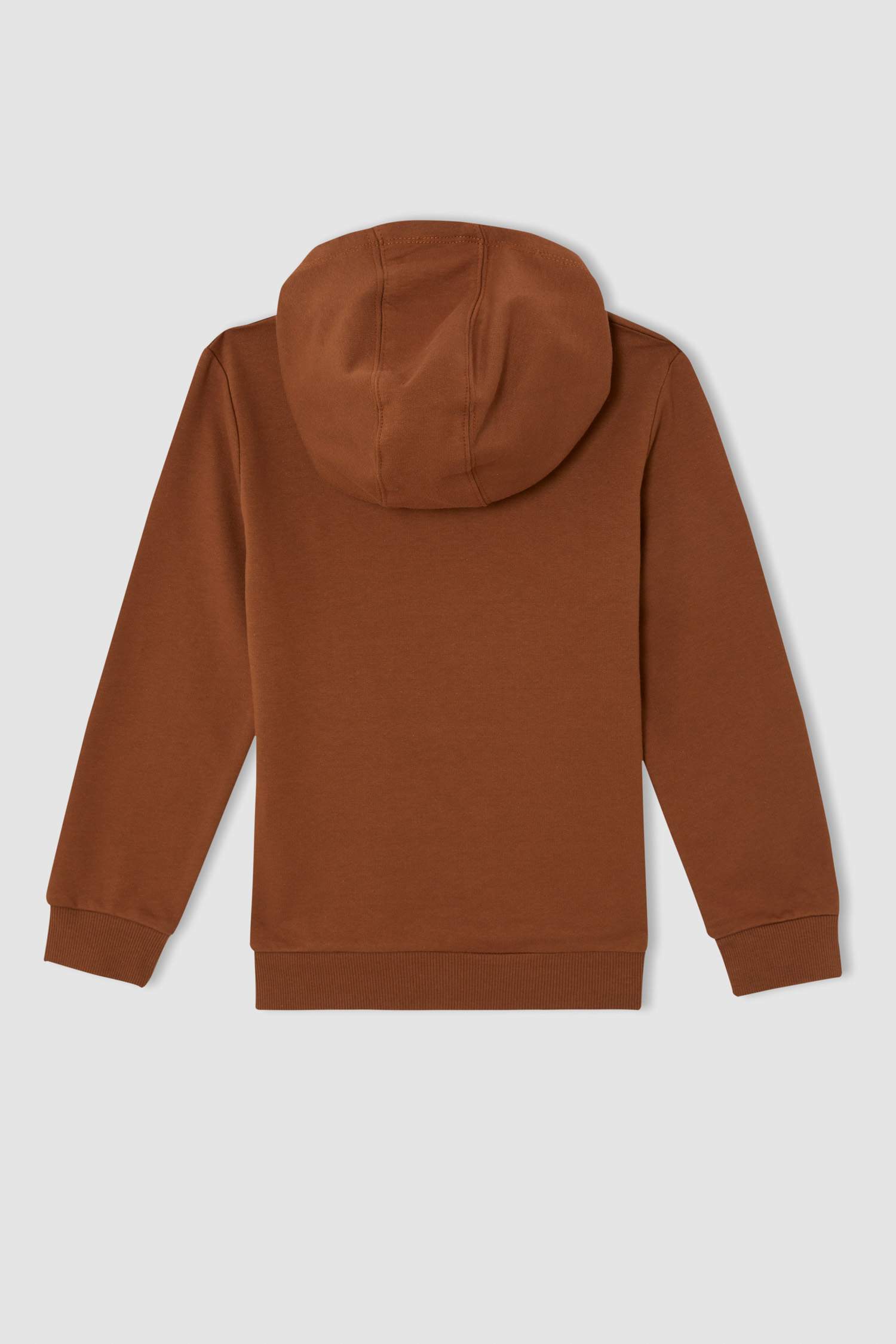 Erkek Çocuk Regular Fit Kapüşonlu Kaplan Baskılı Kanguru Cepli Sweatshirt