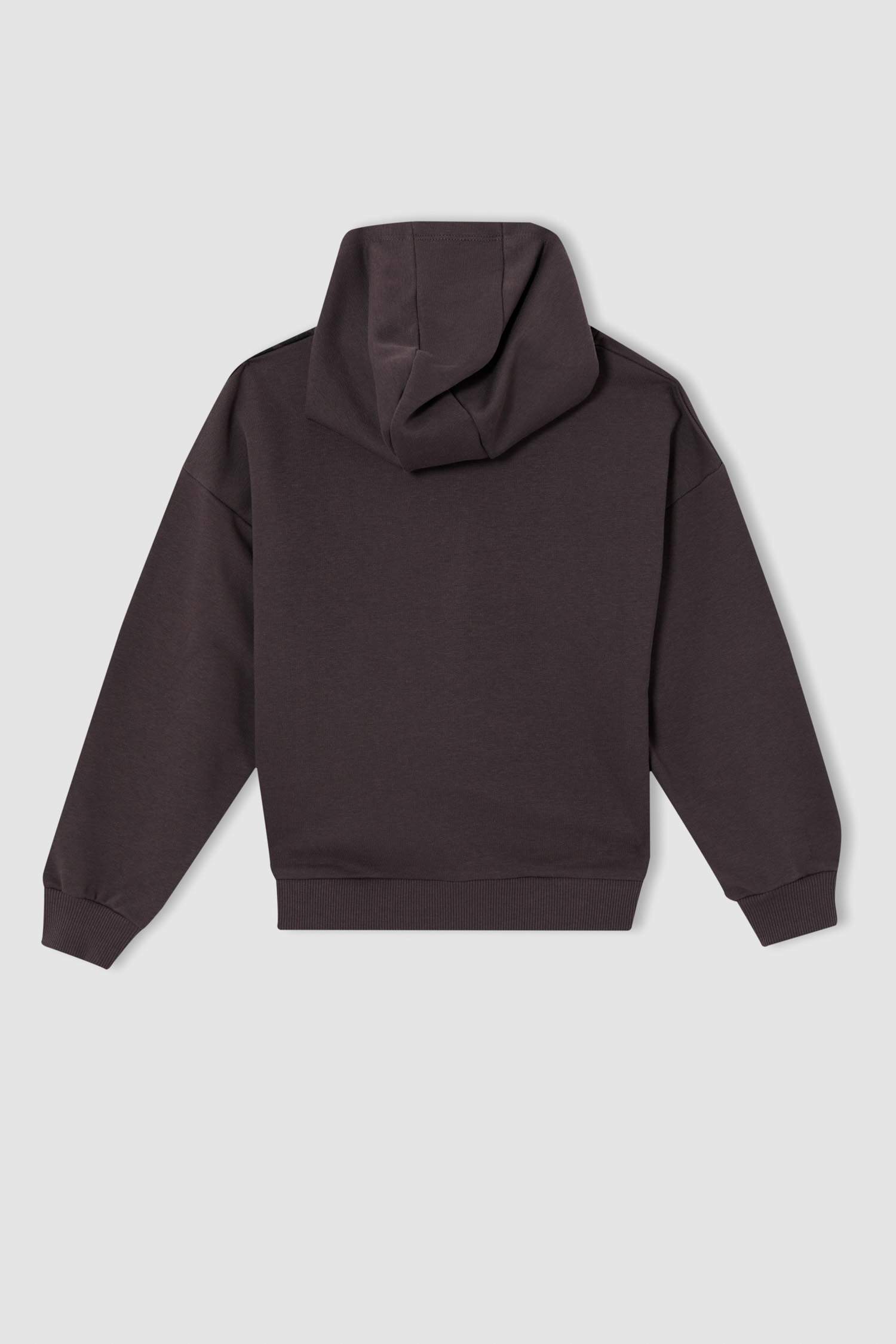 Kız Çocuk Looney Tunes Lisanslı Regular Fit Kapüşonlu Sweatshirt