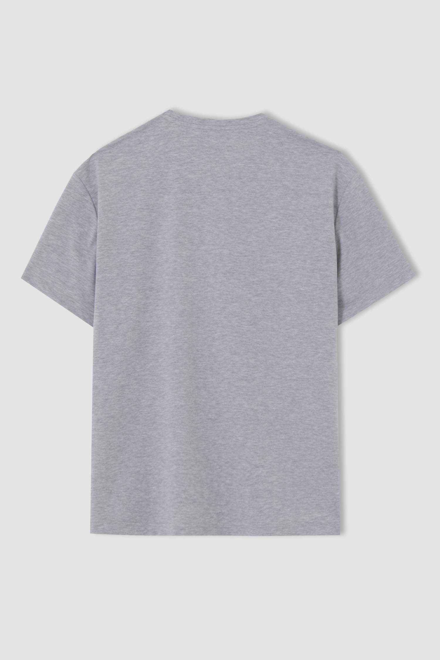 Regular Fit Bisiklet Yaka Basic Kısa Kollu Tişört