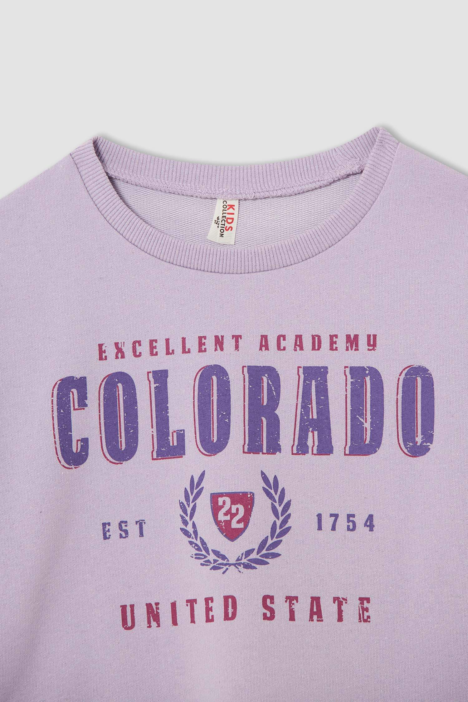 Kız Çocuk Crop Bisiklet Yaka Baskılı 2'li Sweatshirt
