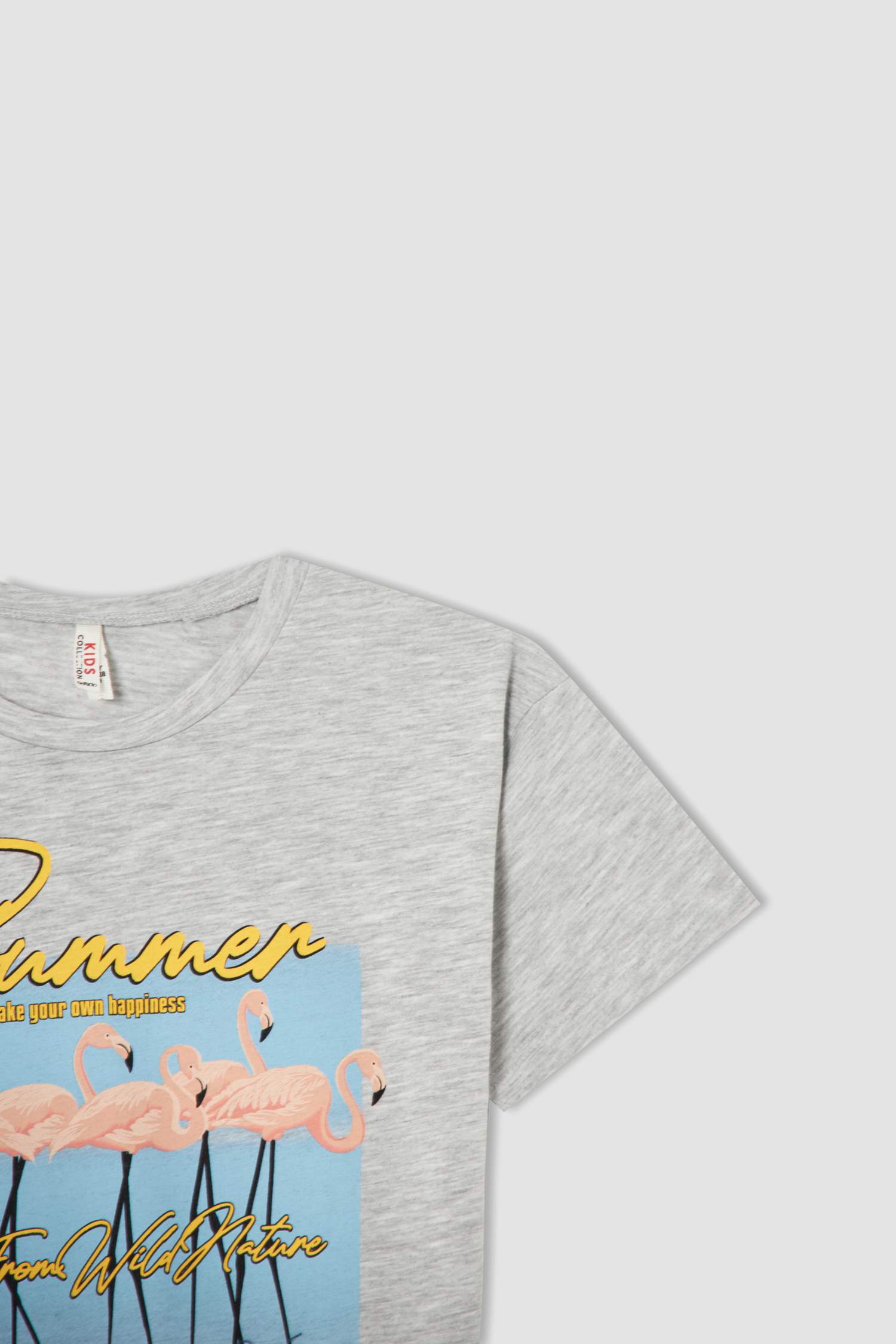 Kız Çocuk Relax Fit Flamingo Baskılı Kısa Kollu Tişört
