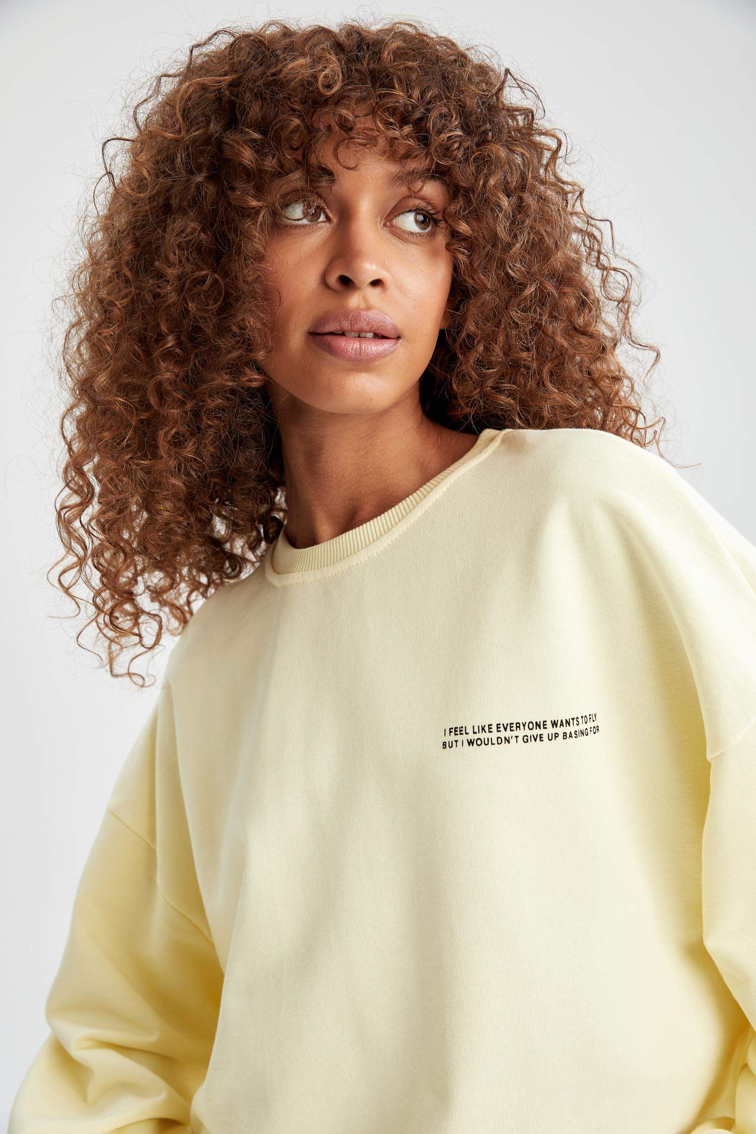Baskılı Bisiklet Yaka Regular Fit Sweatshirt