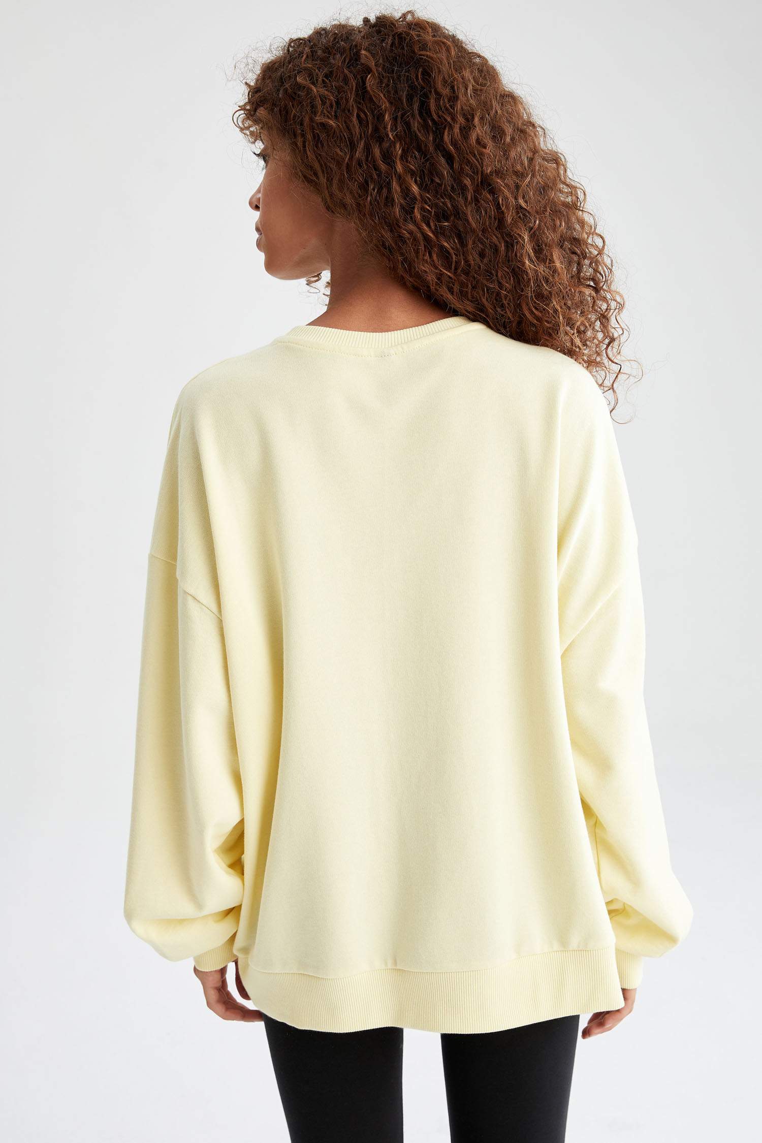 Baskılı Bisiklet Yaka Regular Fit Sweatshirt